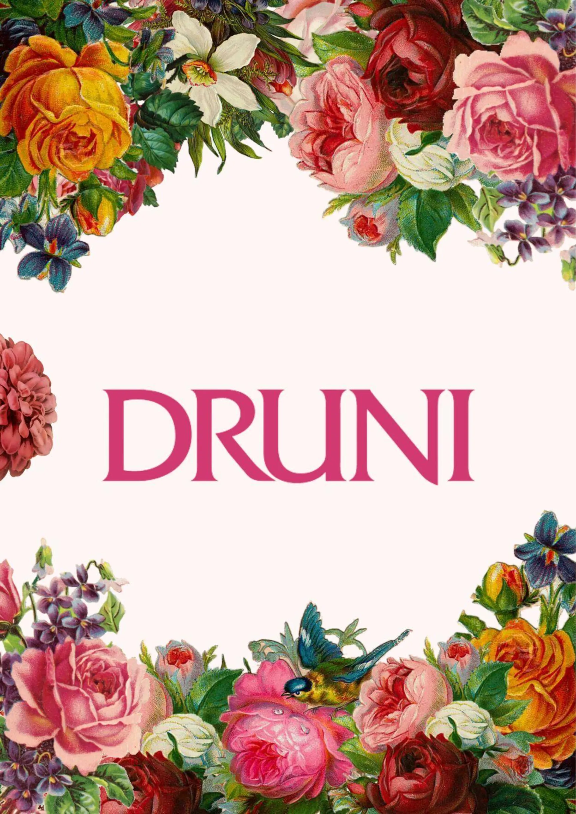 Druni - 1
