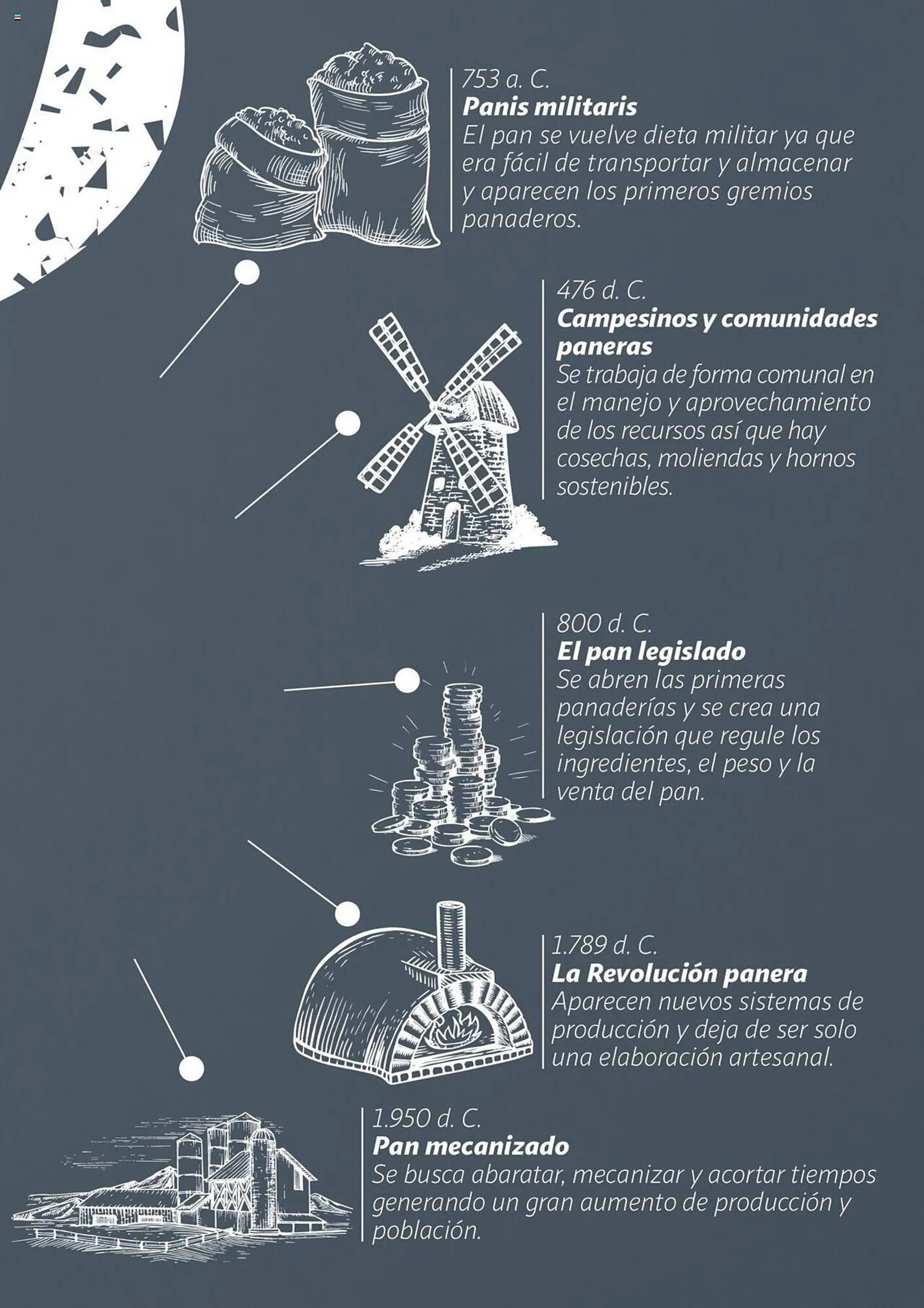 Catálogo de Folleto Alcampo 19 de junio al 31 de diciembre 2024 - Página 5