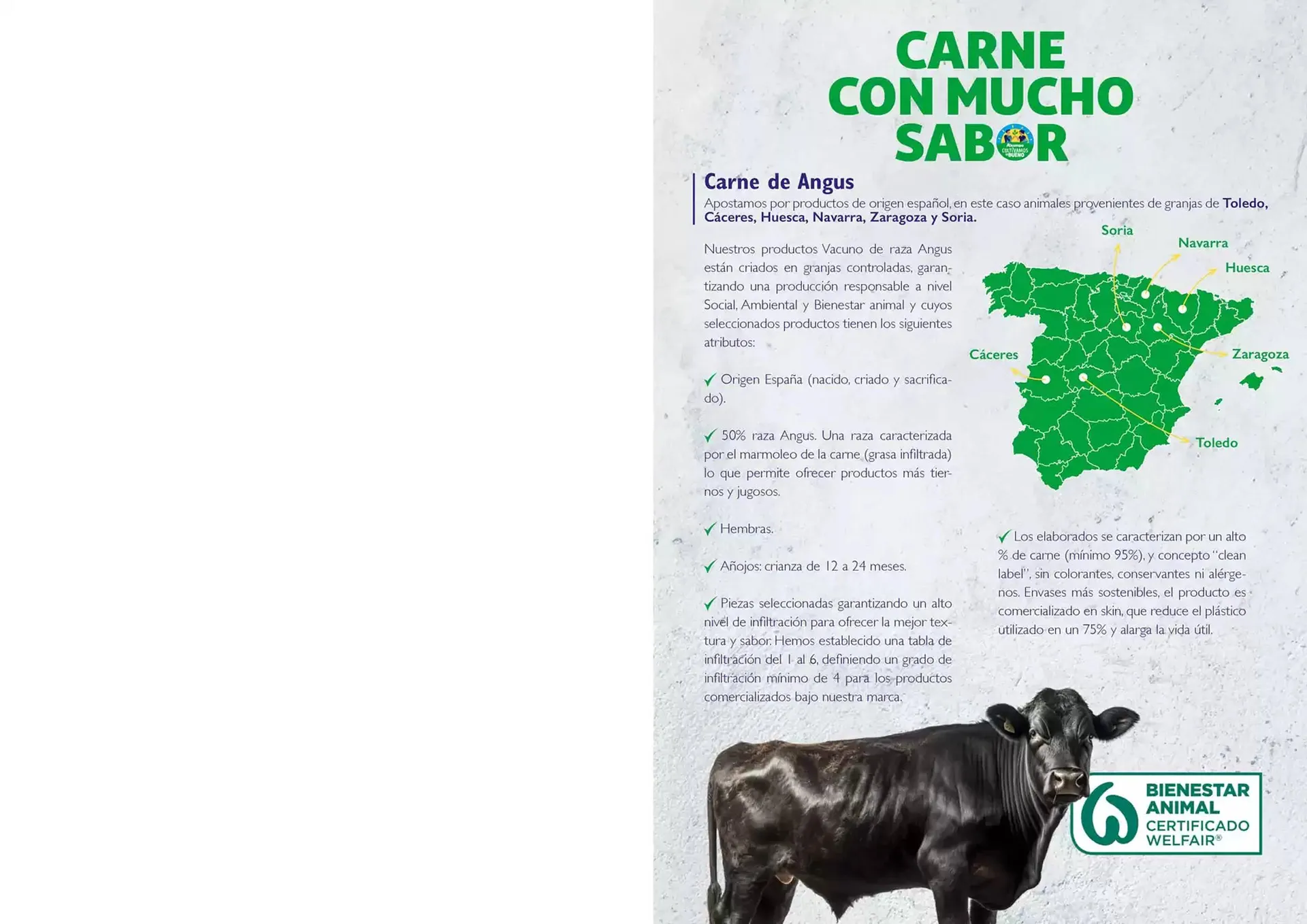 Catálogo de Folleto Alcampo 22 de octubre al 31 de diciembre 2024 - Página 8