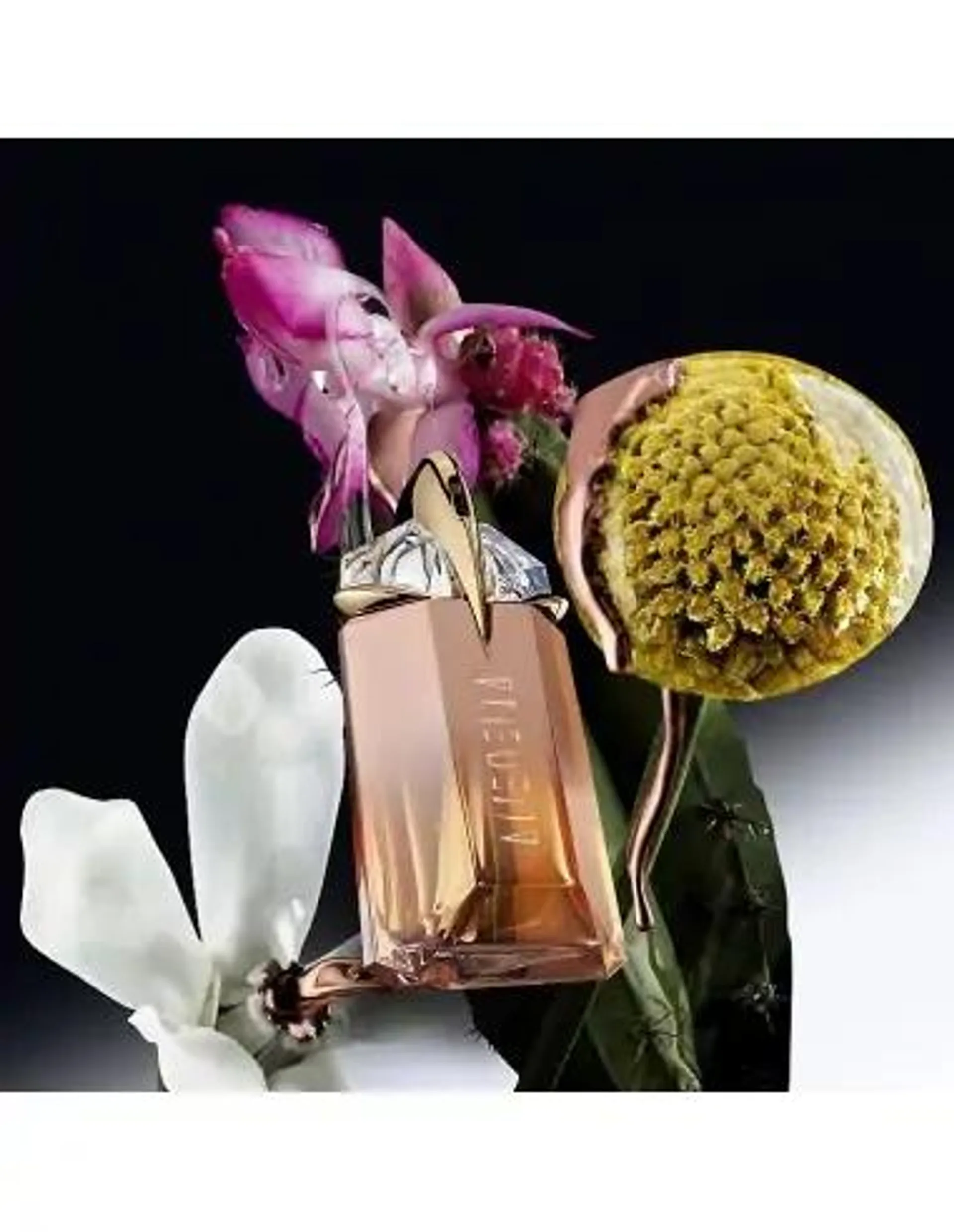 Alien Goddess supra florale EDP