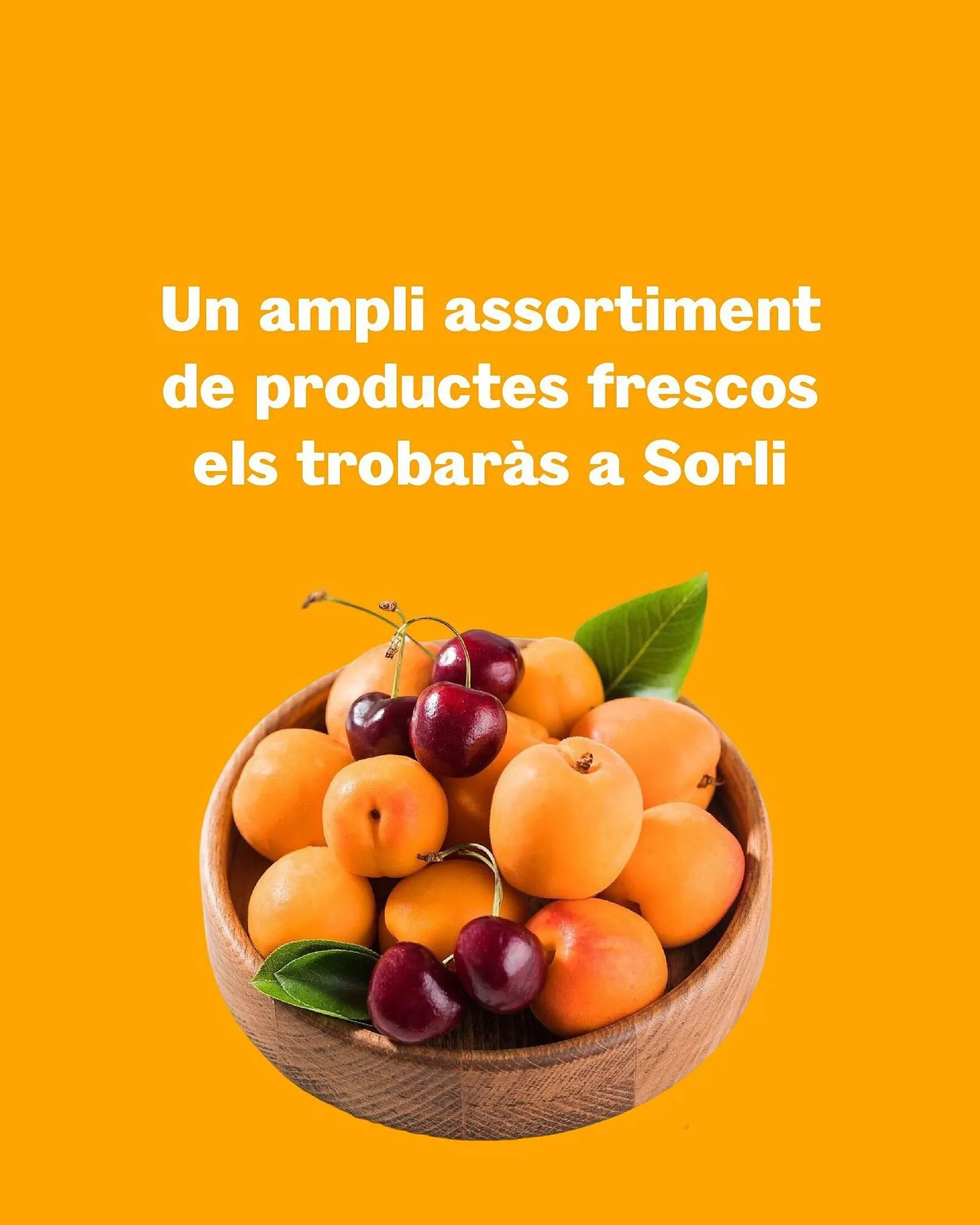 Catálogo de Folleto Sorli 21 de mayo al 29 de junio 2025 - Página 5