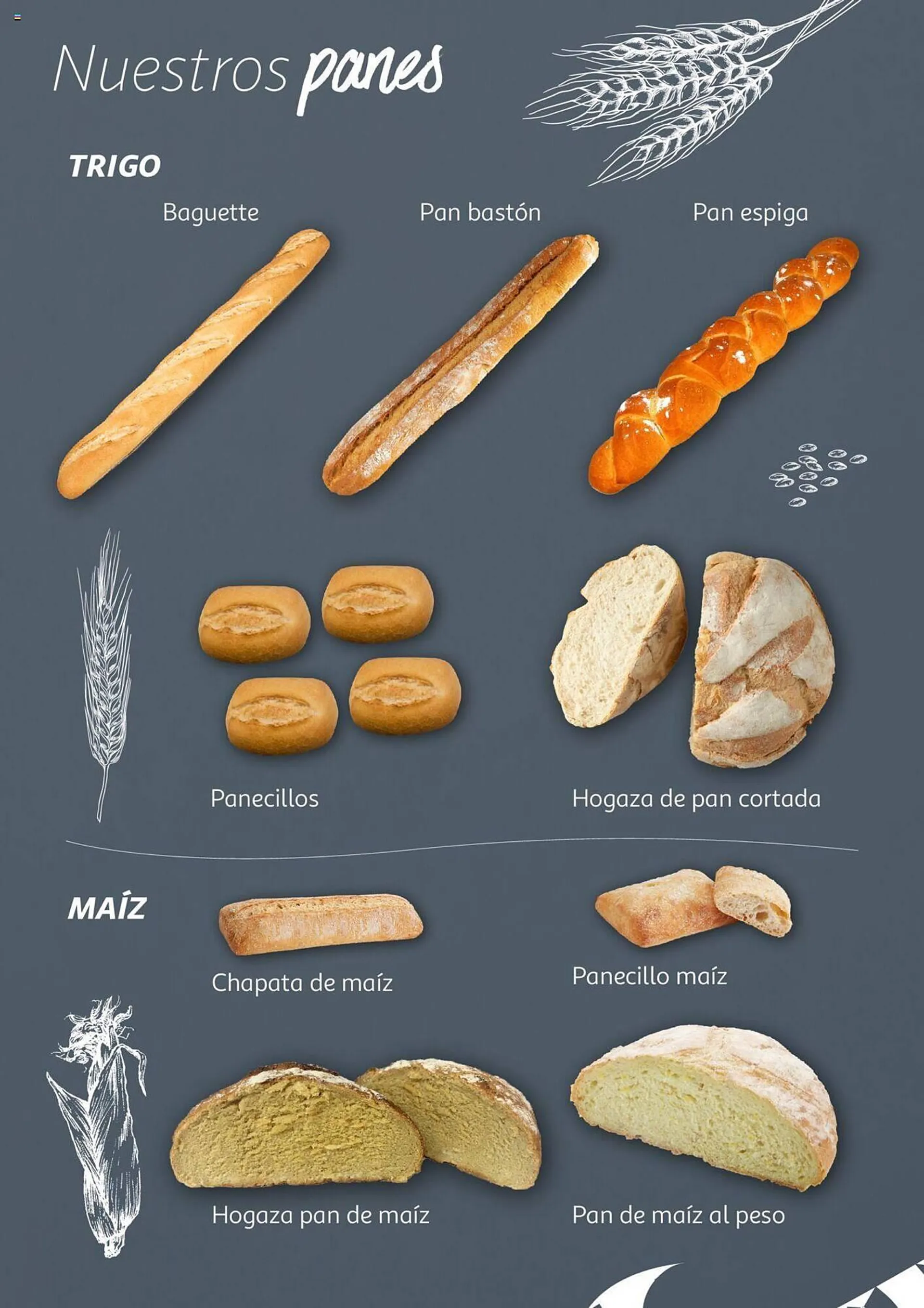 Catálogo de Folleto Alcampo 19 de junio al 31 de diciembre 2024 - Página 16