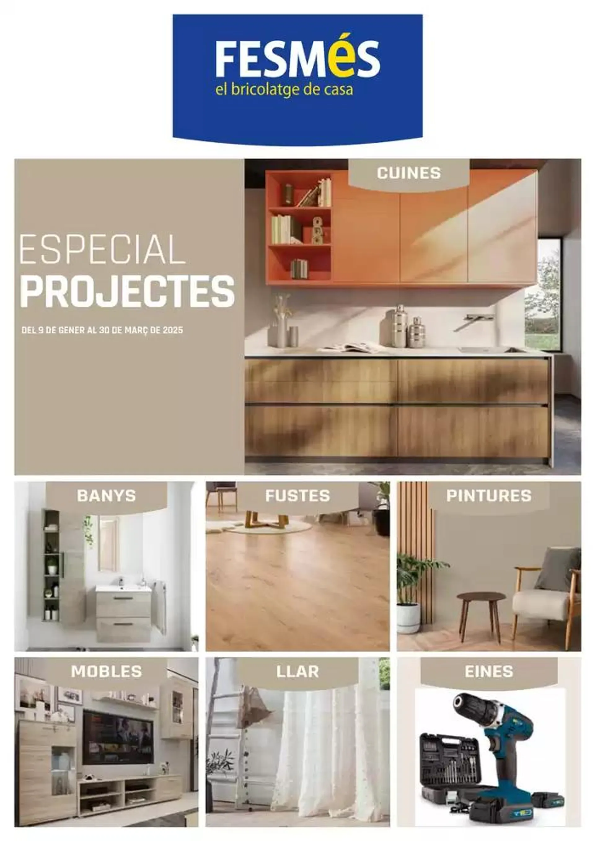 Especial Projectes - 1