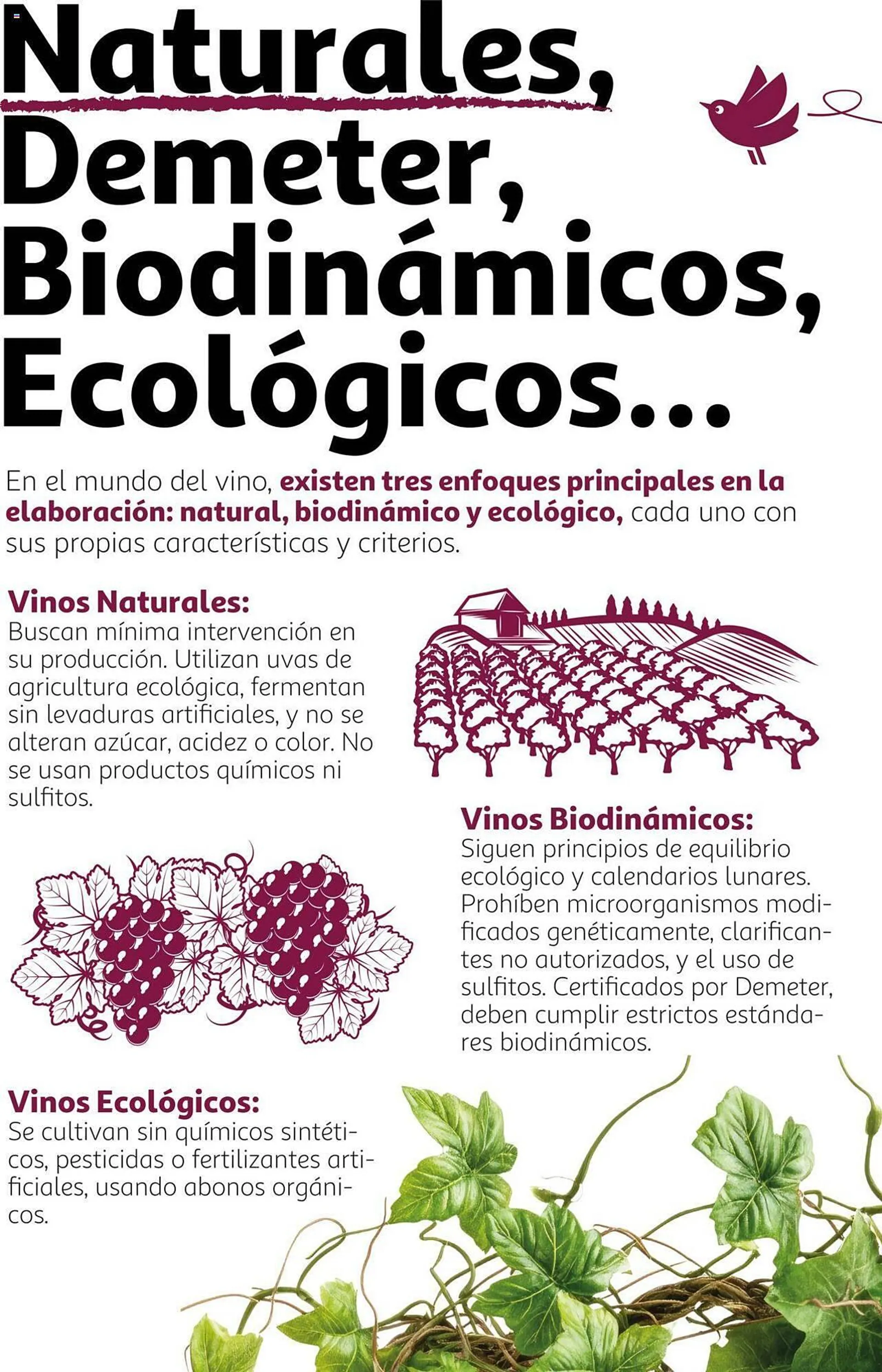 Catálogo de Folleto Alcampo 12 de septiembre al 31 de diciembre 2024 - Página 16