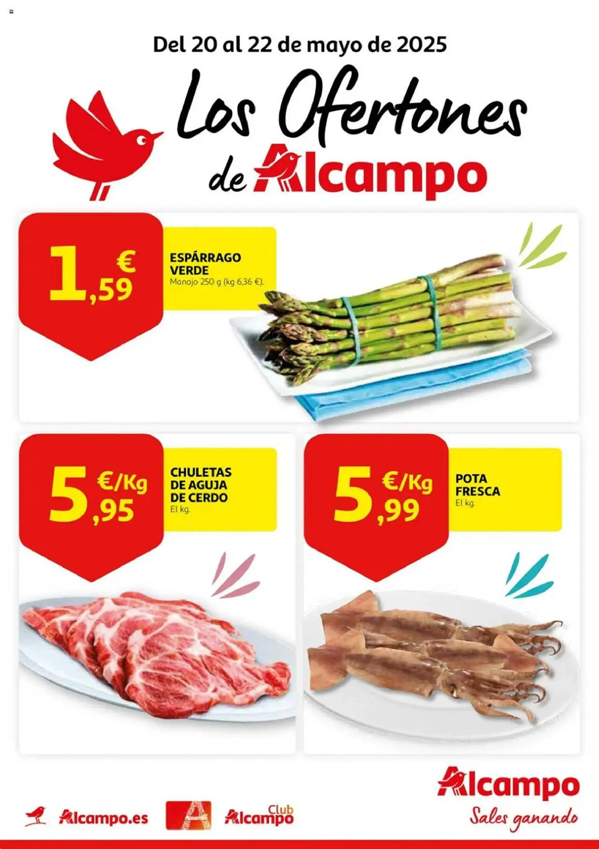 Folleto Alcampo - 1