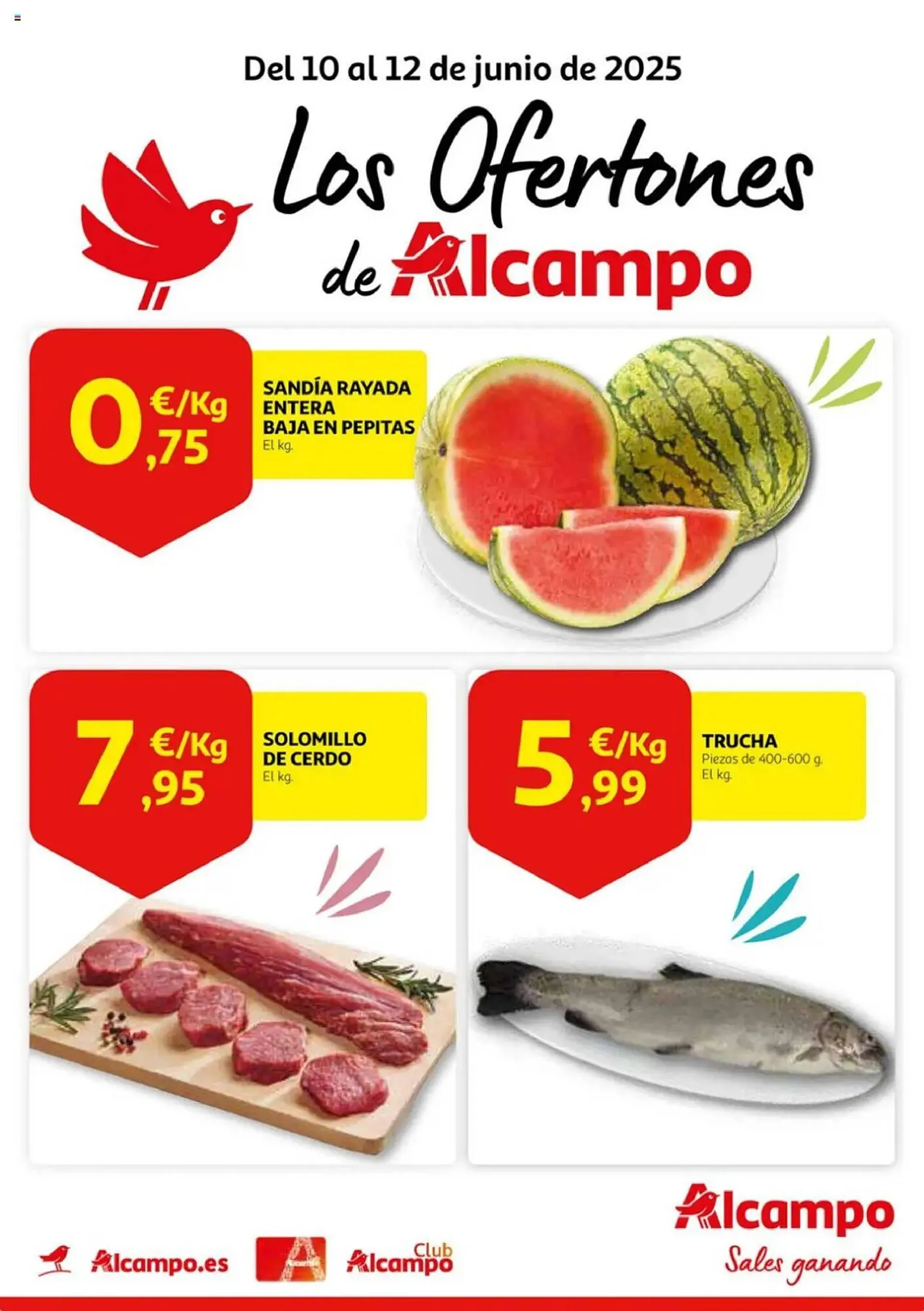 Folleto Alcampo - 1