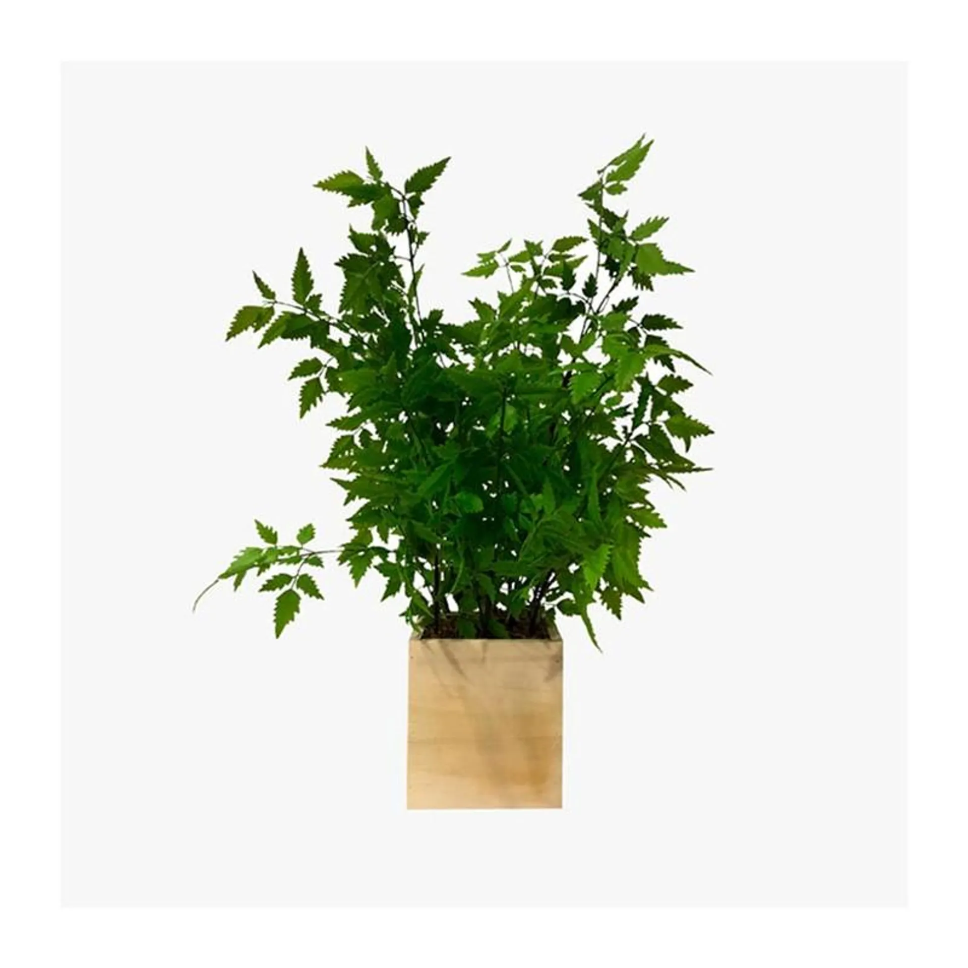 PLANTA ARTIFICIAL 50CM CON MACETERO DE MADERA