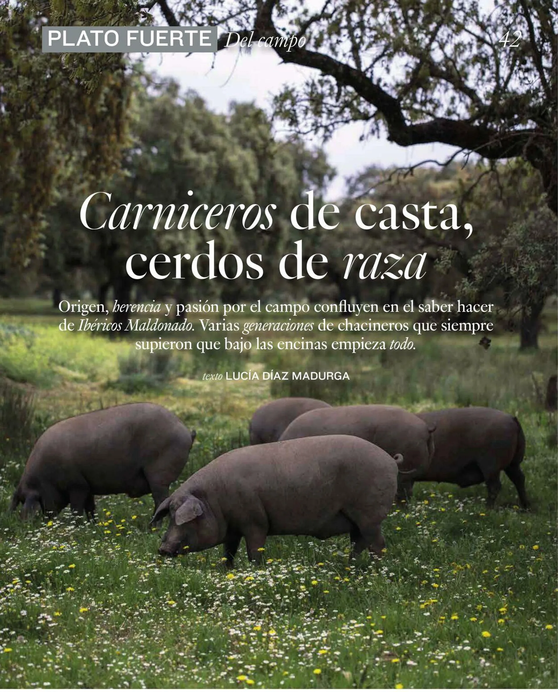 Catálogo de El Corte Inglés Oferta actual 4 de junio al 18 de junio 2025 - Página 42