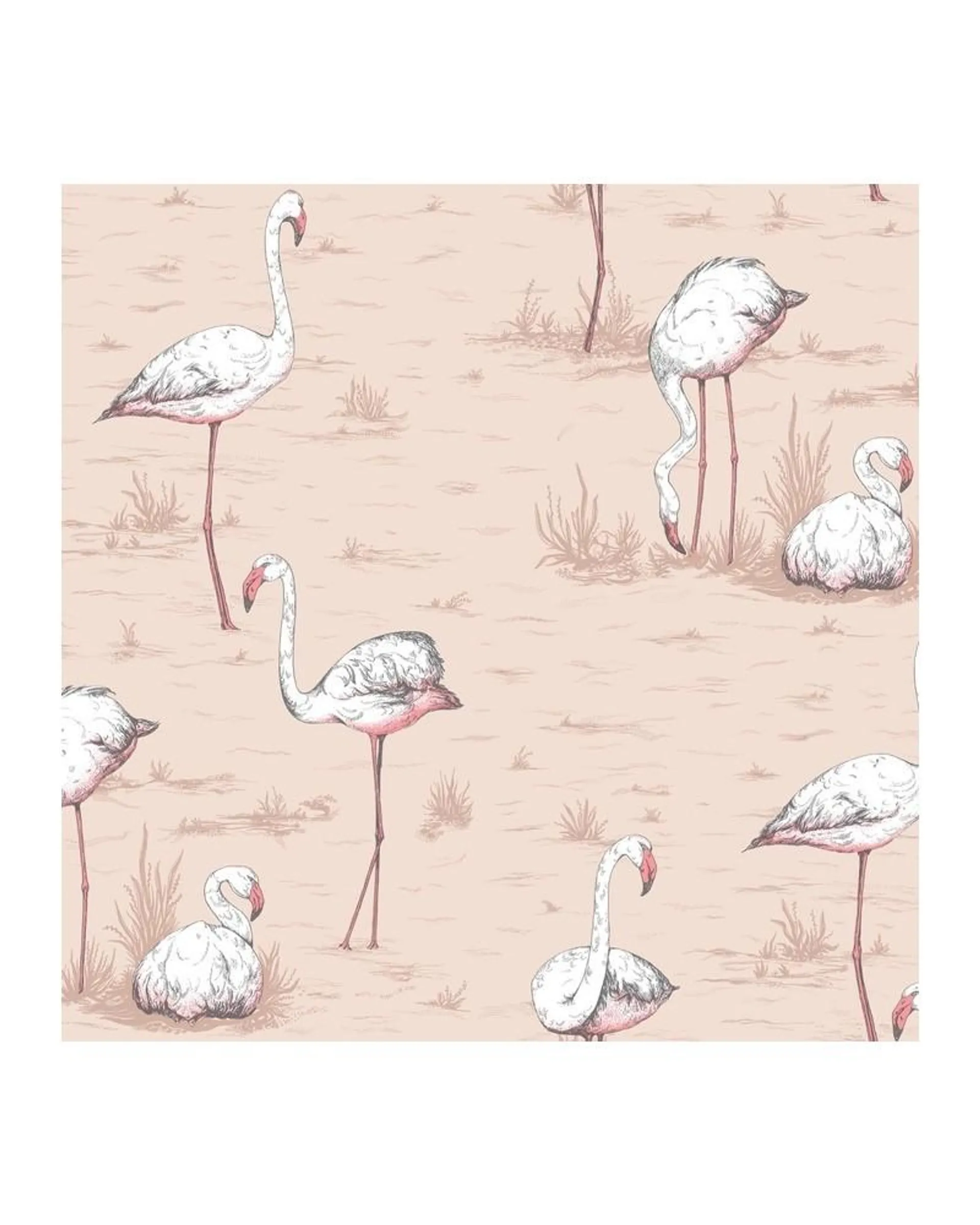 PAPEL PINTADO 112-11039 FLAMINGOS