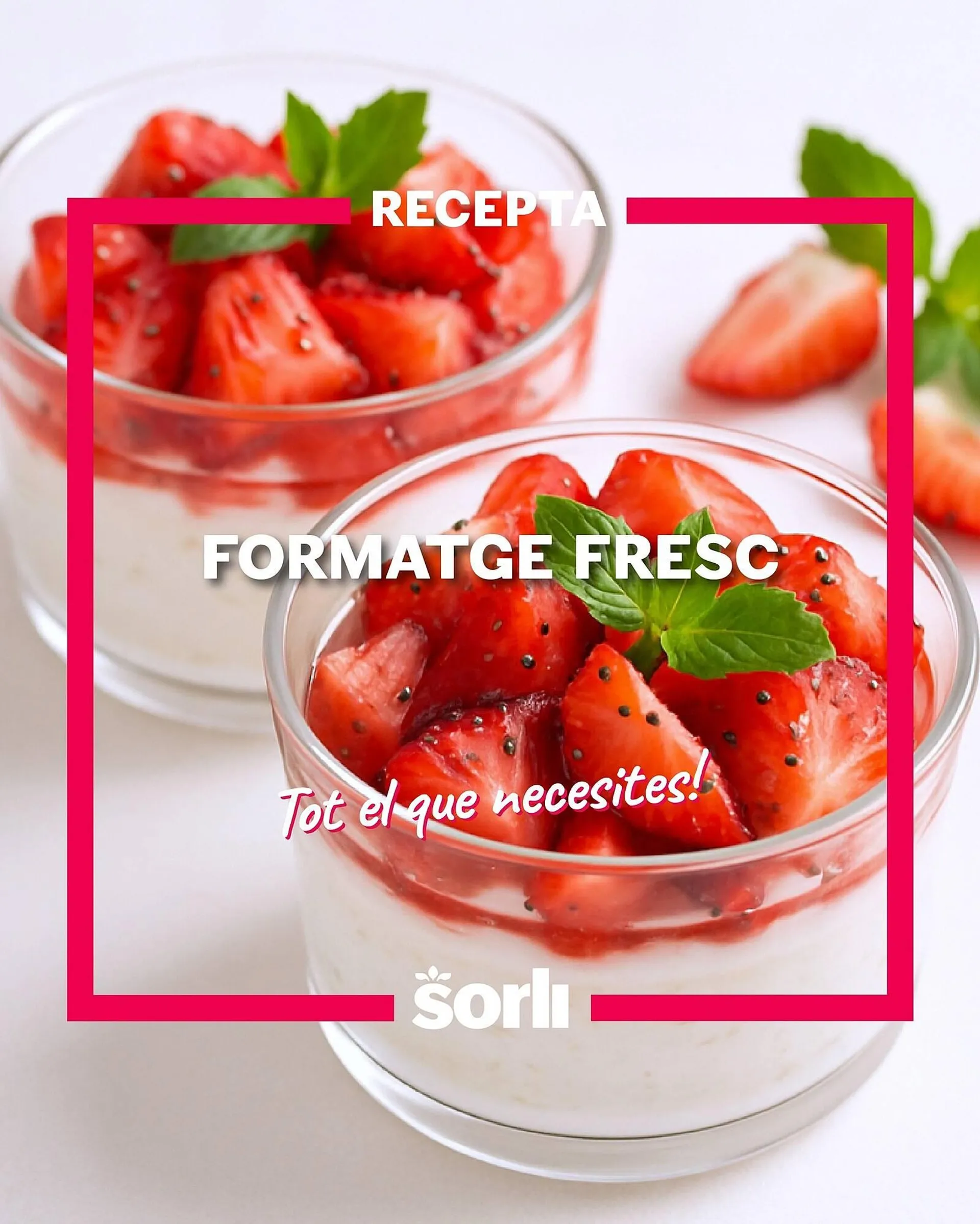 Folleto Sorli - 1