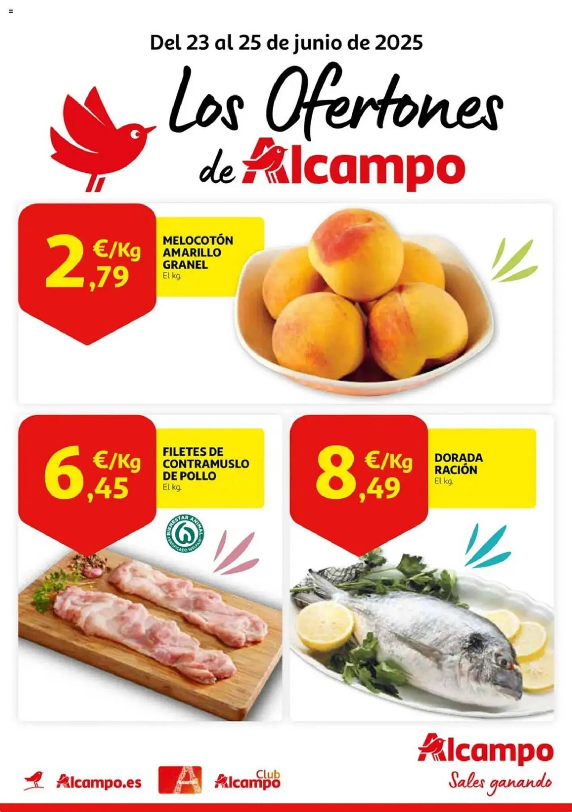 Folleto Alcampo - 1