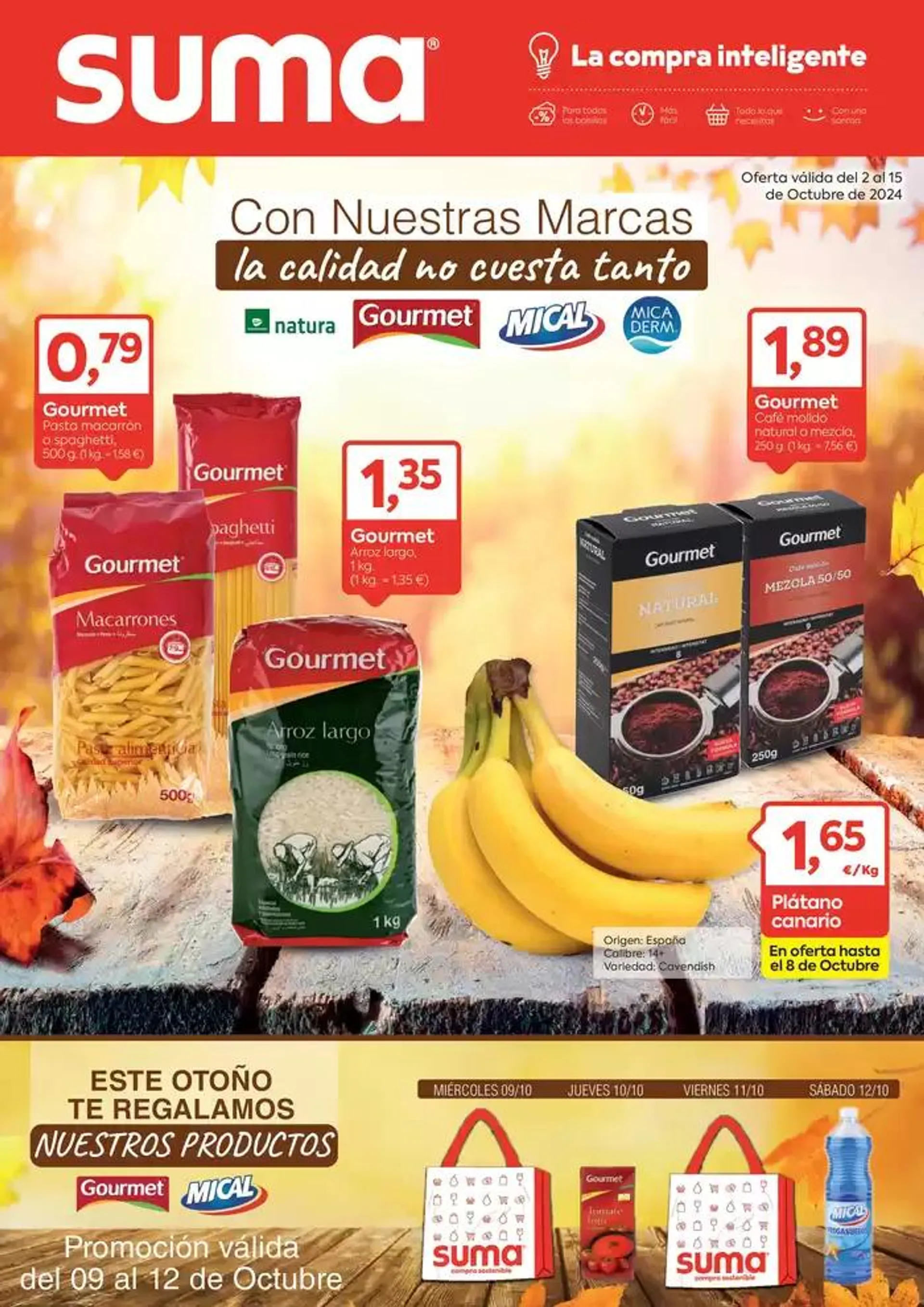 Oferta válida del 2 al 15 de Octubre de 2024 - 1