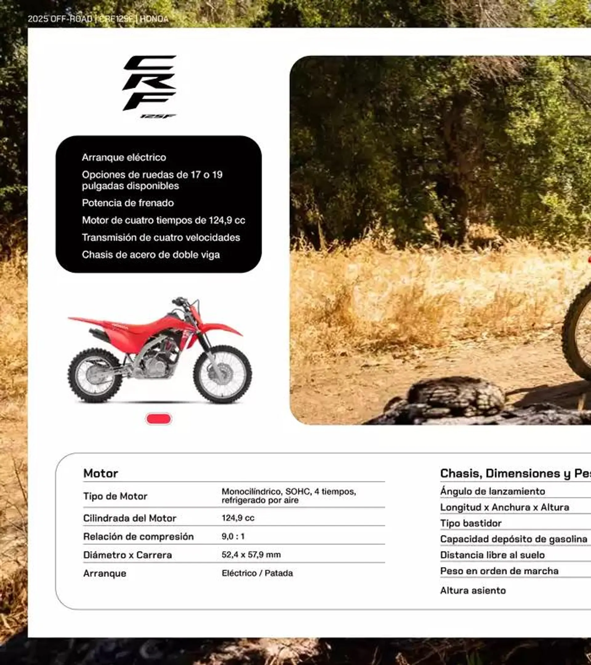 Catálogo de Gama Off-Road 2025 14 de mayo al 31 de diciembre 2025 - Página 17
