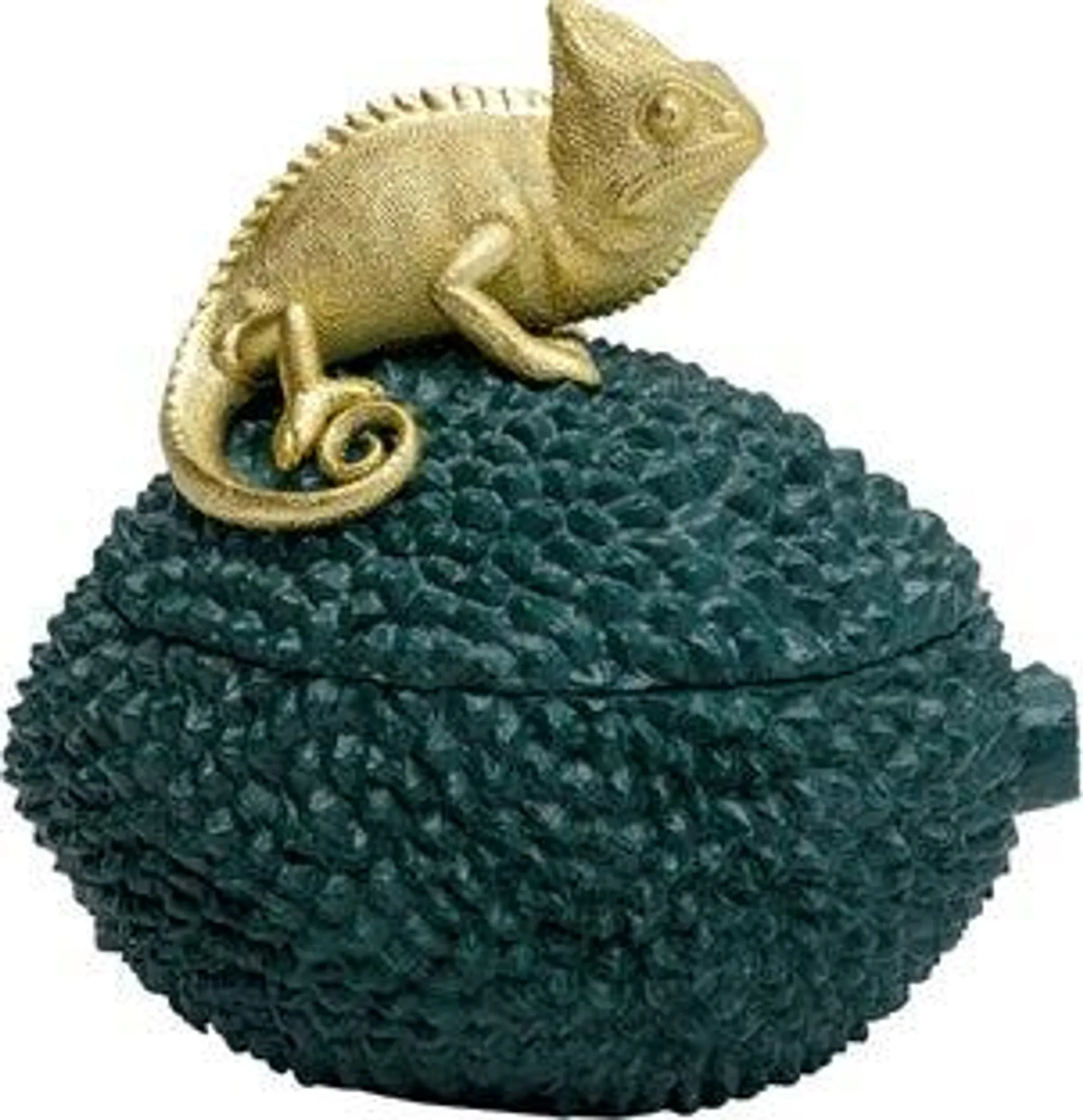 Caja deco Chameleon 20