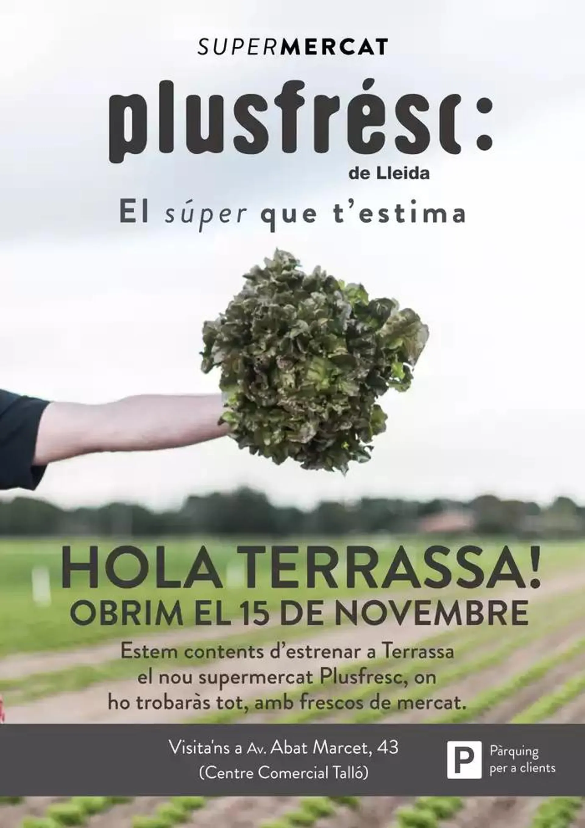 Nou Plusfresc Terrassa - 1