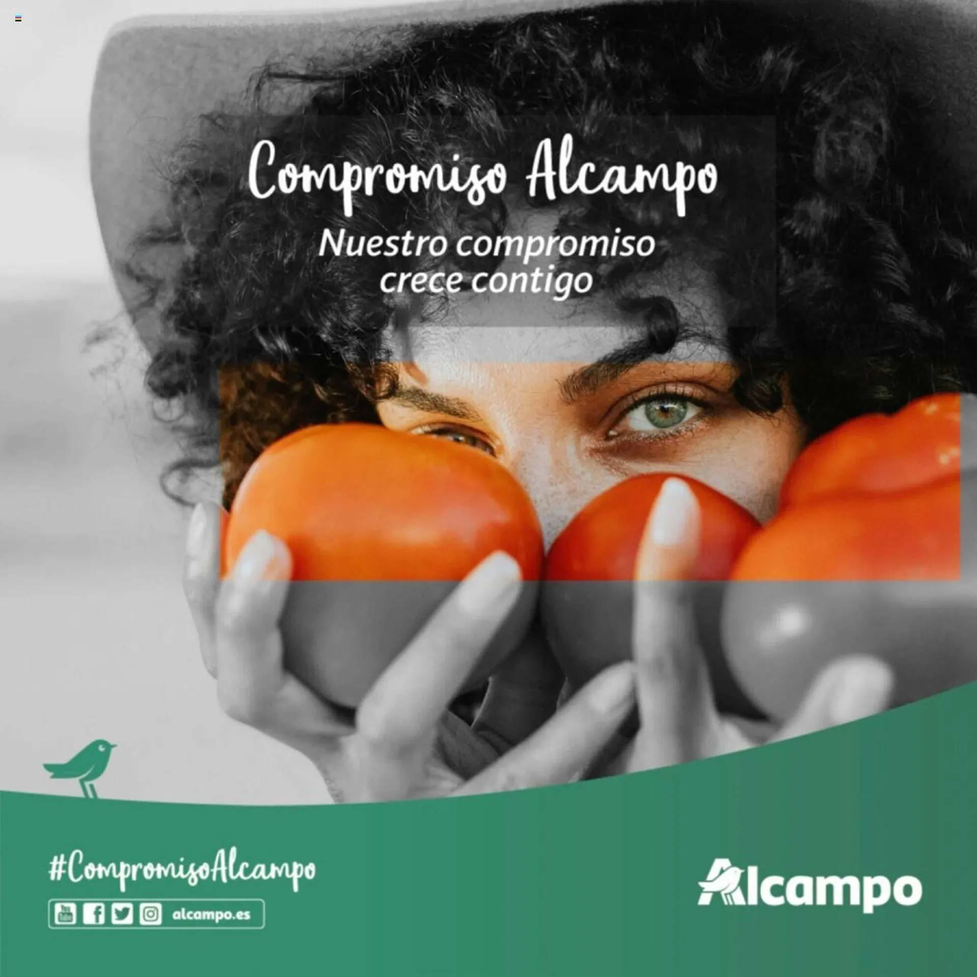 Folleto Alcampo - 1