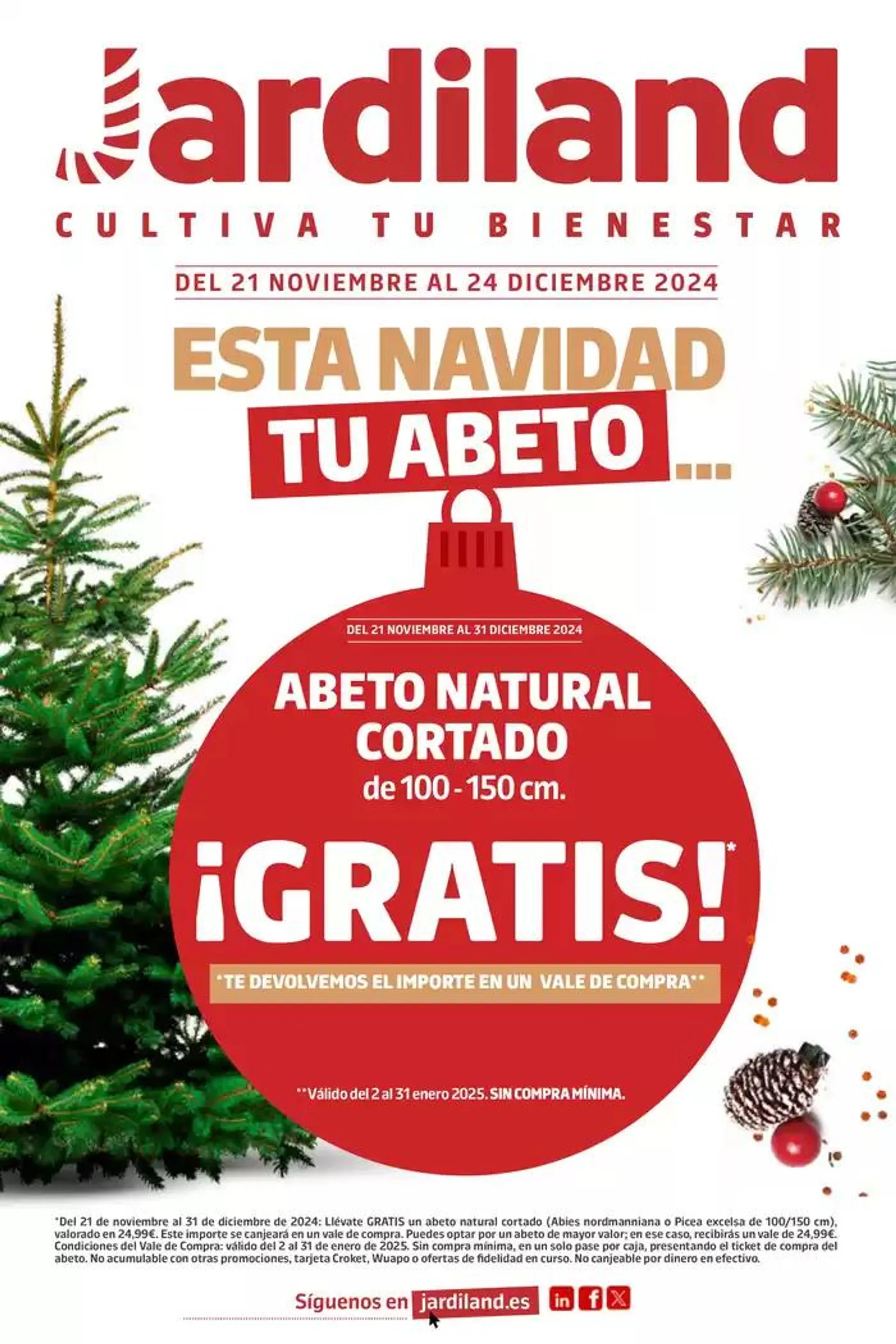 La Pobla: Esta Navidad tu abeto natural cortado de 100-150 cm - 1