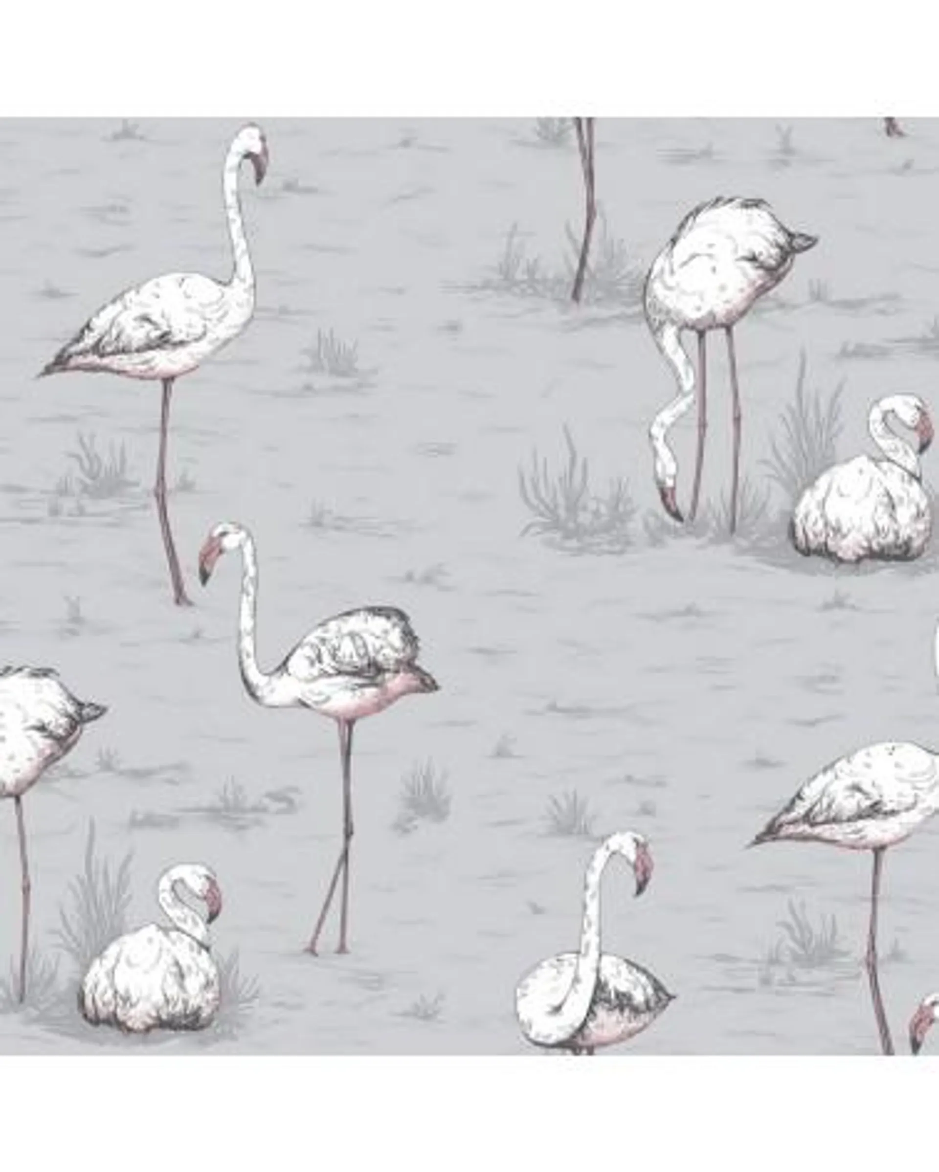 112-11040 FLAMINGOS