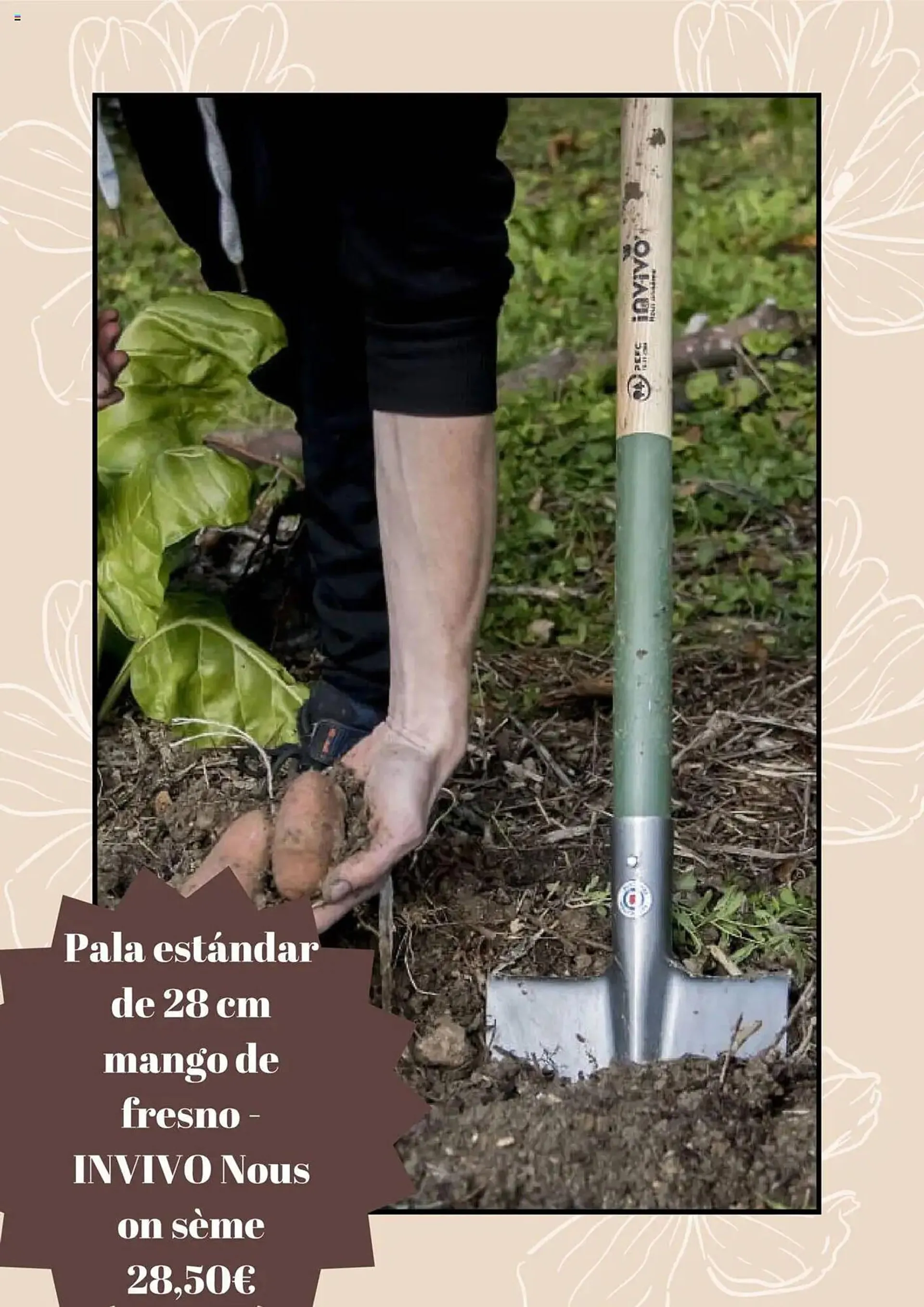 Catálogo de Folleto Jardiland 5 de junio al 5 de julio 2025 - Página 2