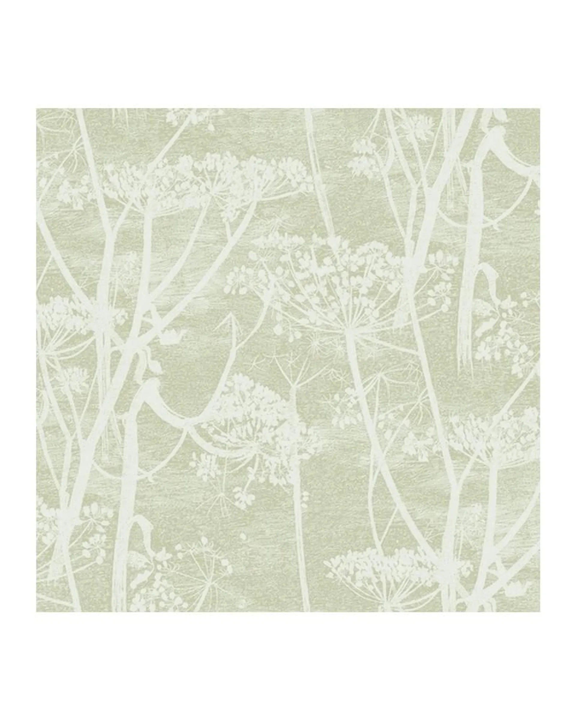 PAPEL PINTADO 112-8029 COW PARSLEY