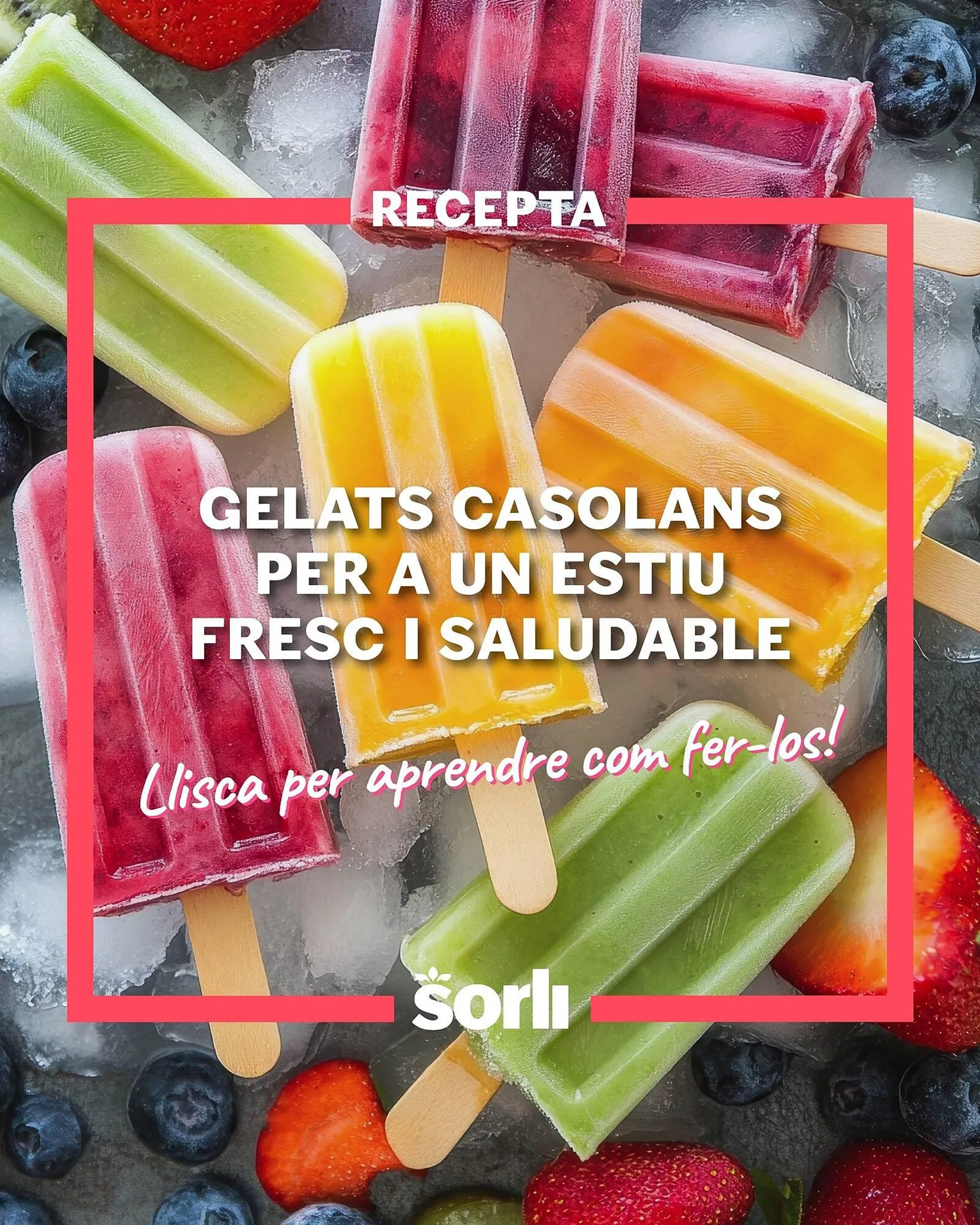 Catálogo de Folleto Sorli 6 de agosto al 31 de agosto 2025 - Página 1
