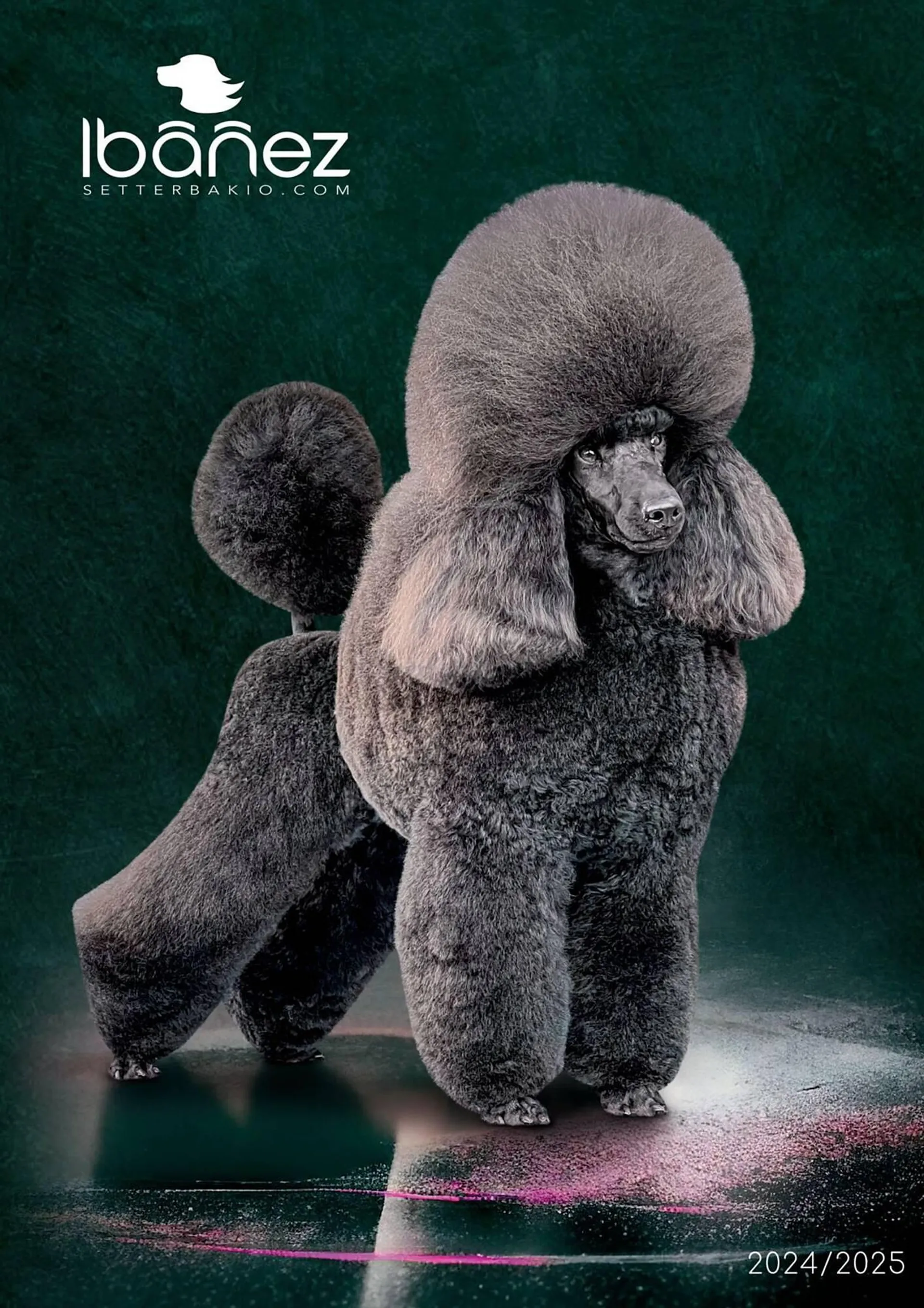 Folleto Setter Bakio - 1