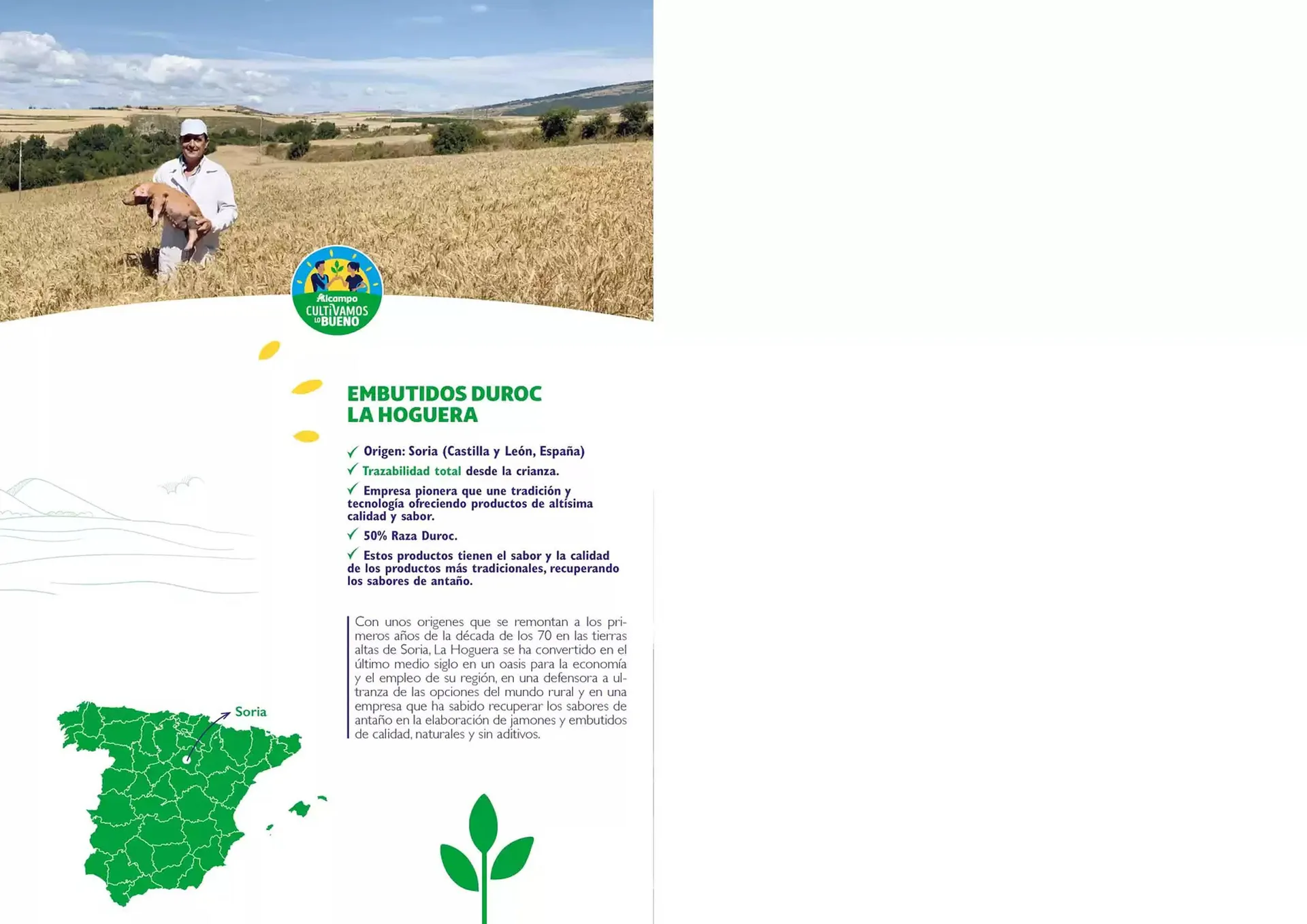 Catálogo de Folleto Alcampo 22 de octubre al 31 de diciembre 2024 - Página 55