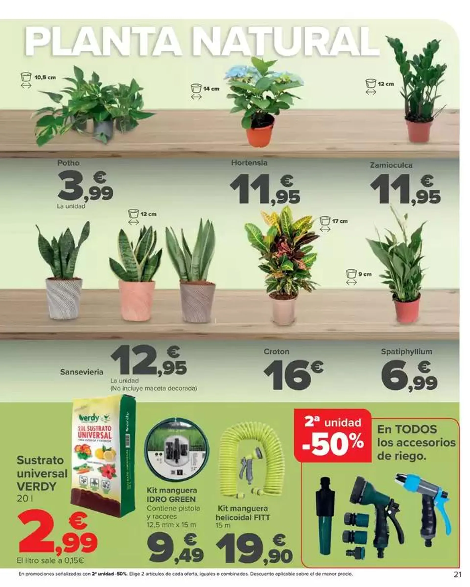 Catálogo de JARDIN 11 de abril al 15 de mayo 2025 - Página 21