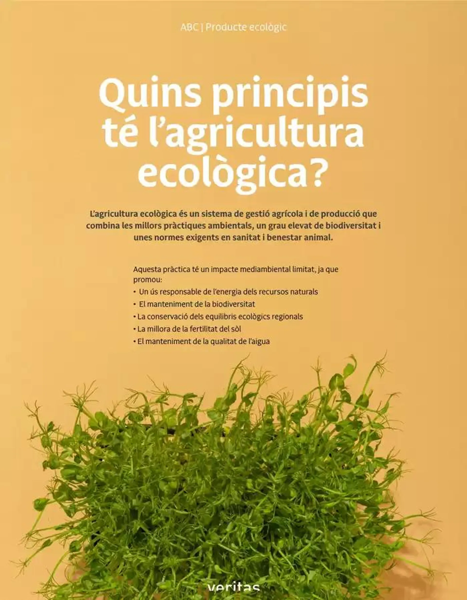 Catálogo de Veritas Abril, 2025 - Català 1 de abril al 30 de abril 2025 - Página 26
