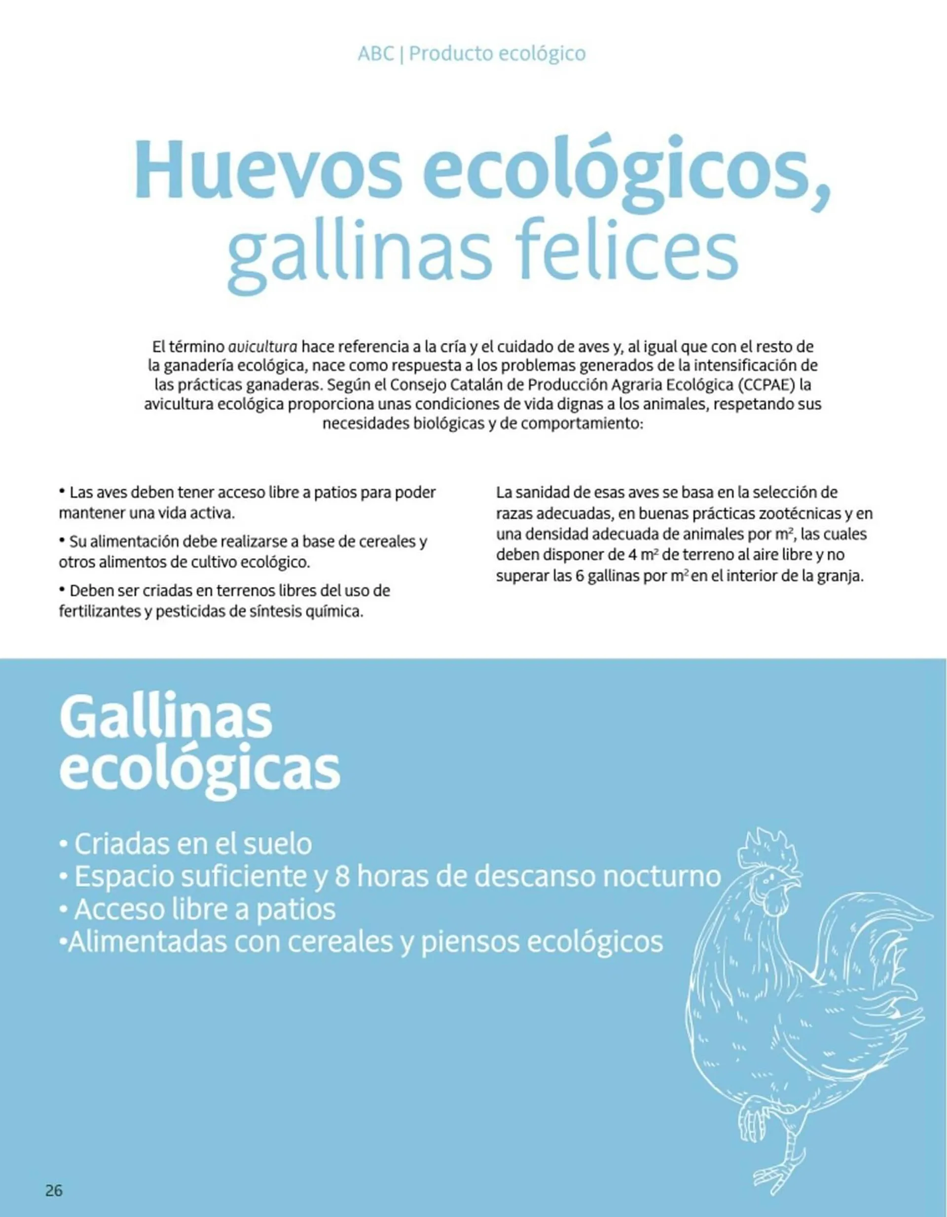 Catálogo de Folleto Veritas 2 de junio al 30 de junio 2025 - Página 26