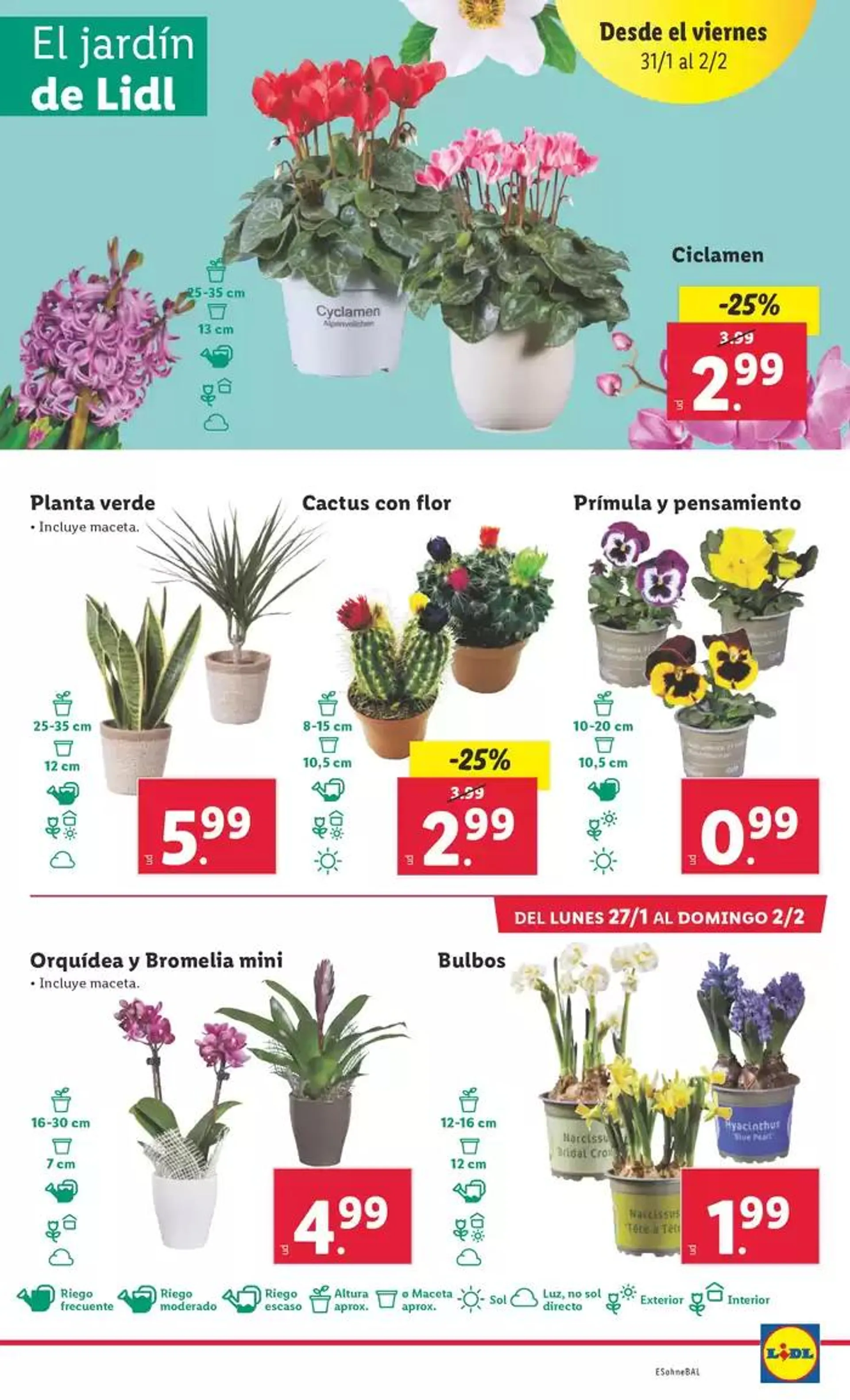 Catálogo de ¡Bazar Lidl! Ofertas válidas del 27/01 al 02/02 27 de enero al 2 de febrero 2025 - Página 43