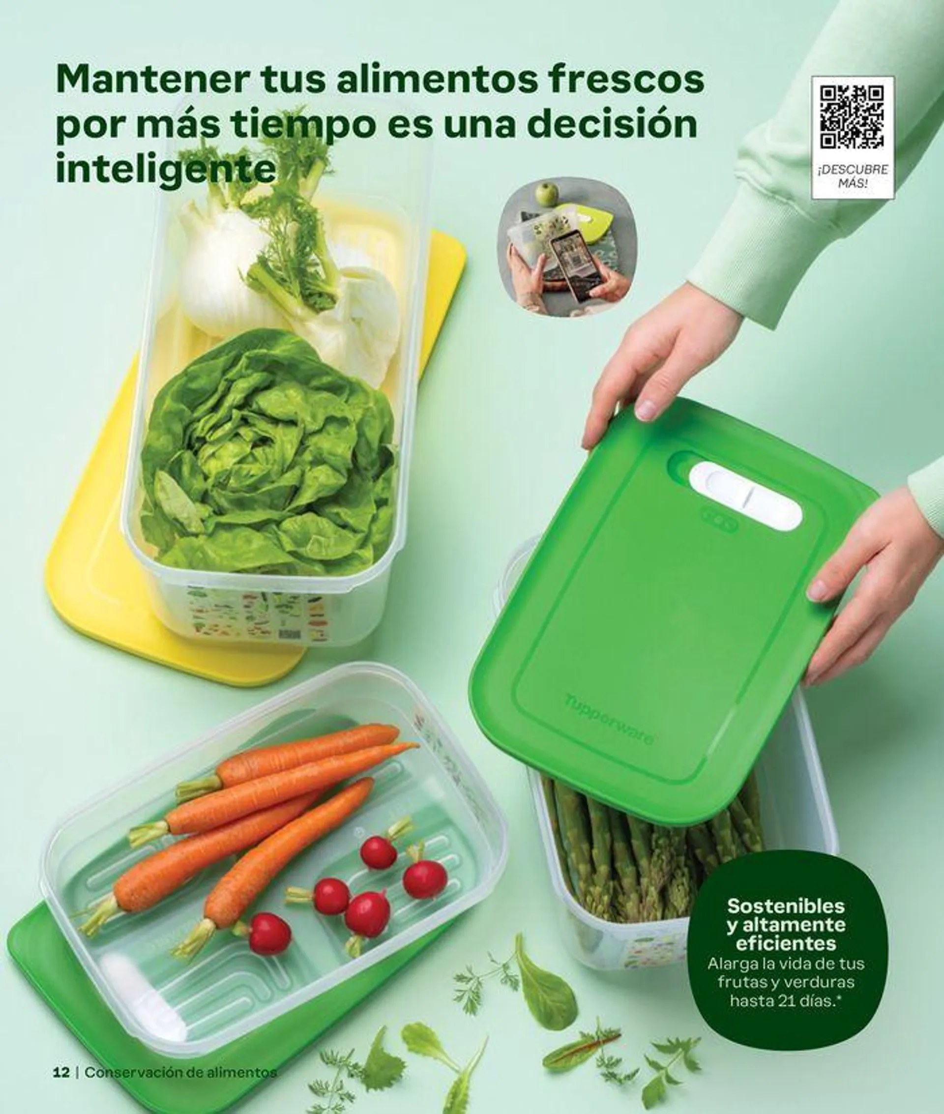 Catálogo de Catálogo Tupperware  3 de septiembre al 28 de febrero 2025 - Página 12