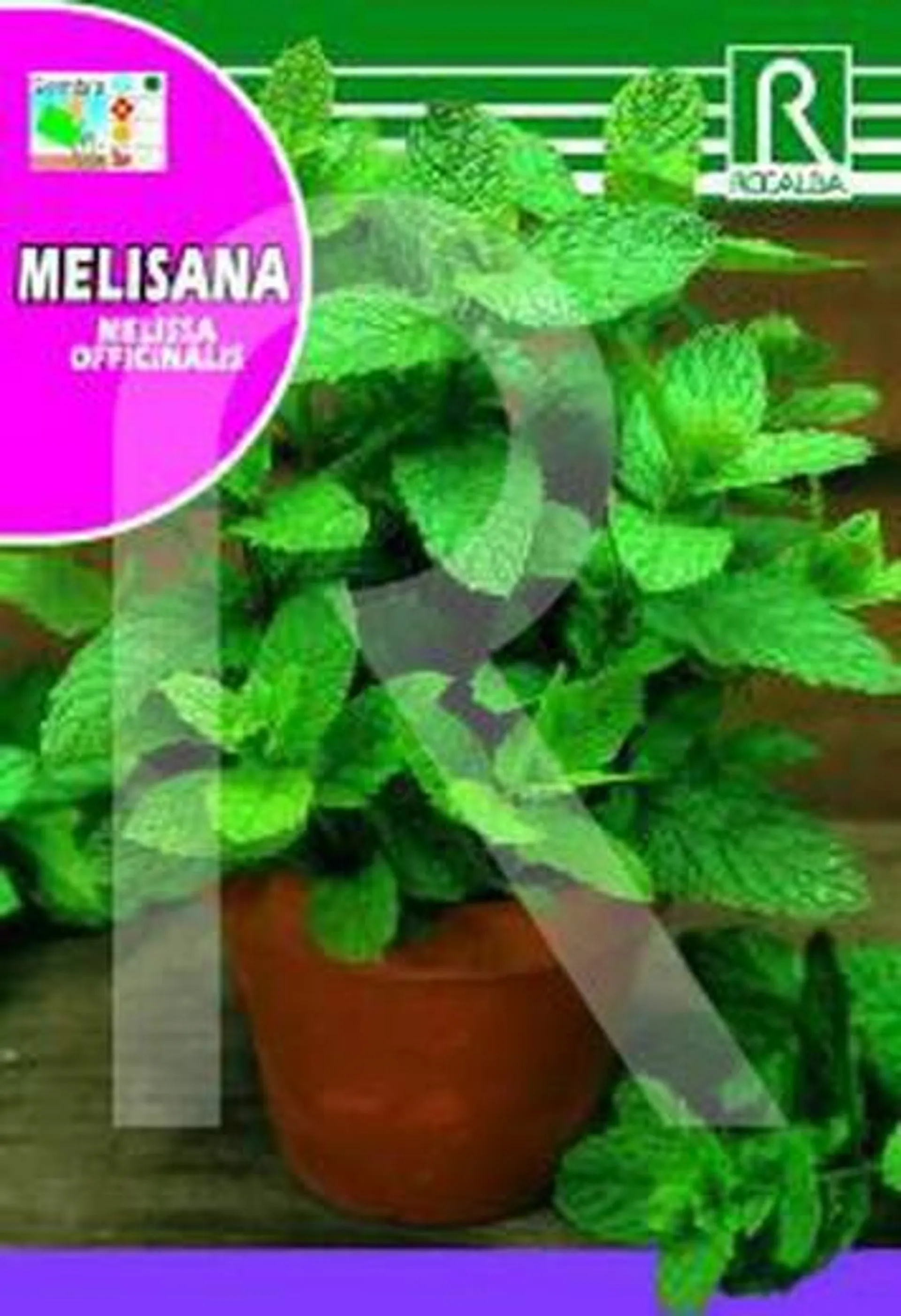 Melisana officinalis sobre