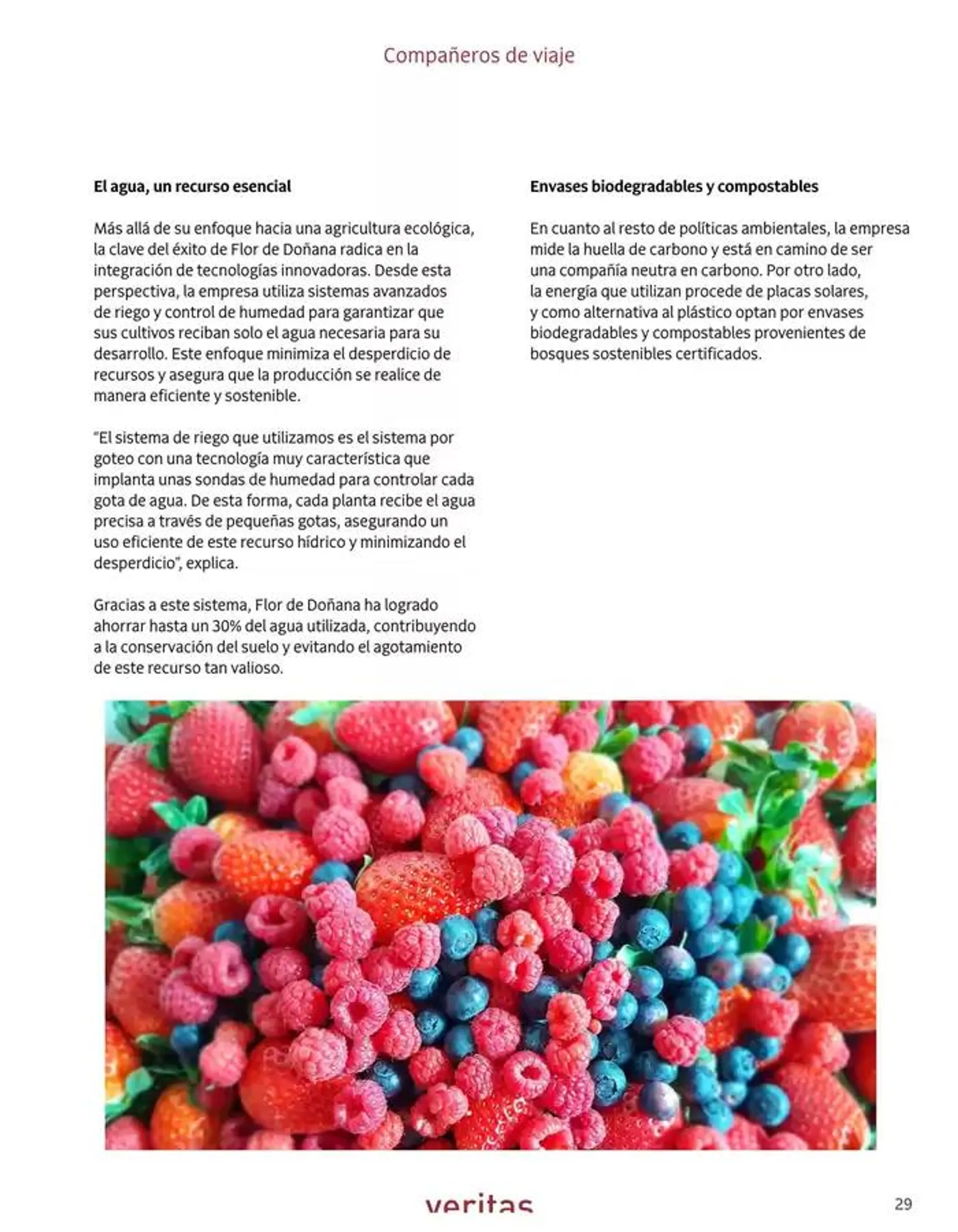 Catálogo de Veritas Abril, 2025 - Castellano 1 de abril al 30 de abril 2025 - Página 29