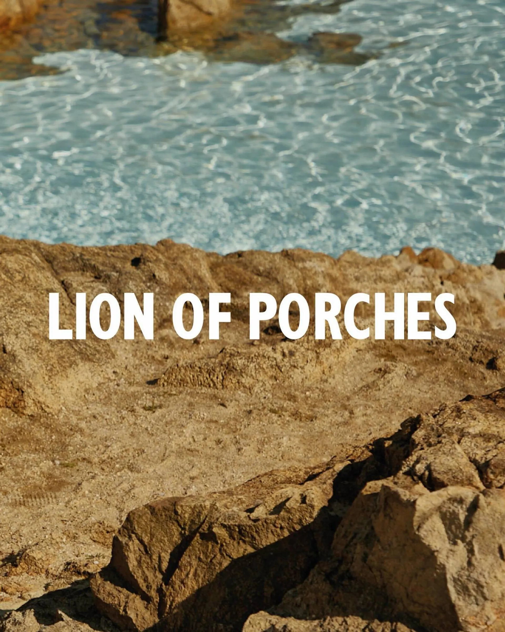 Folleto Lion of Porches - 1