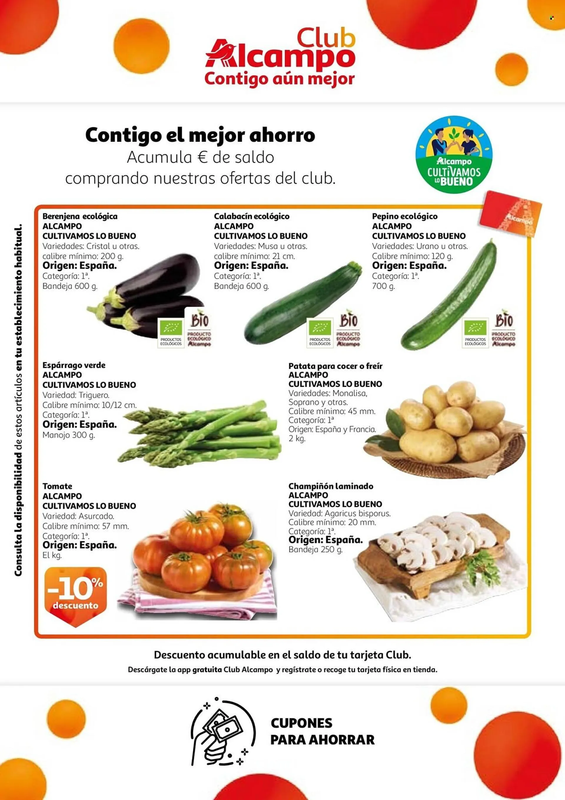 Catálogo de Folleto Alcampo 22 de abril al 5 de mayo 2025 - Página 6