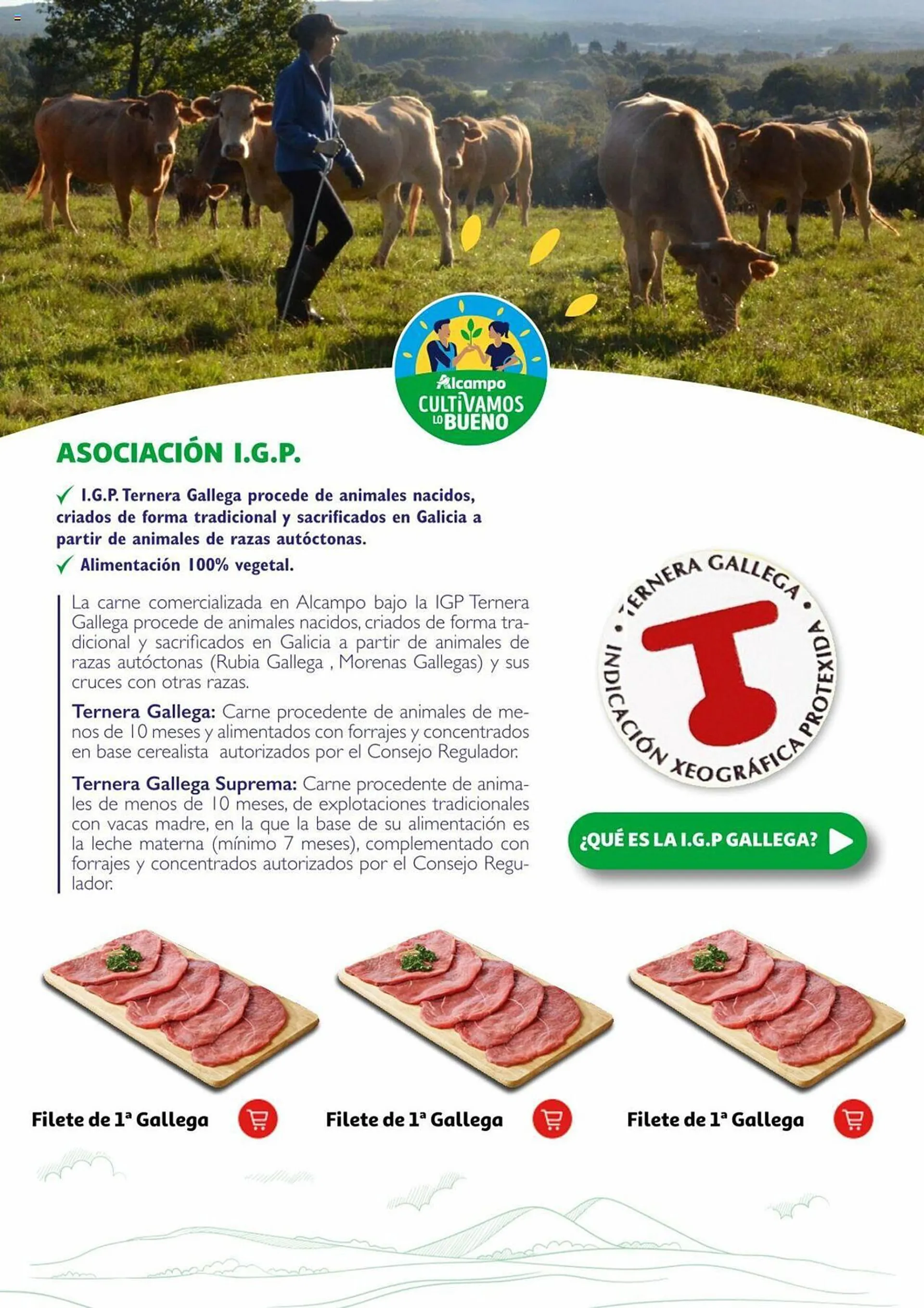 Catálogo de Folleto Alcampo 19 de marzo al 31 de diciembre 2024 - Página 3