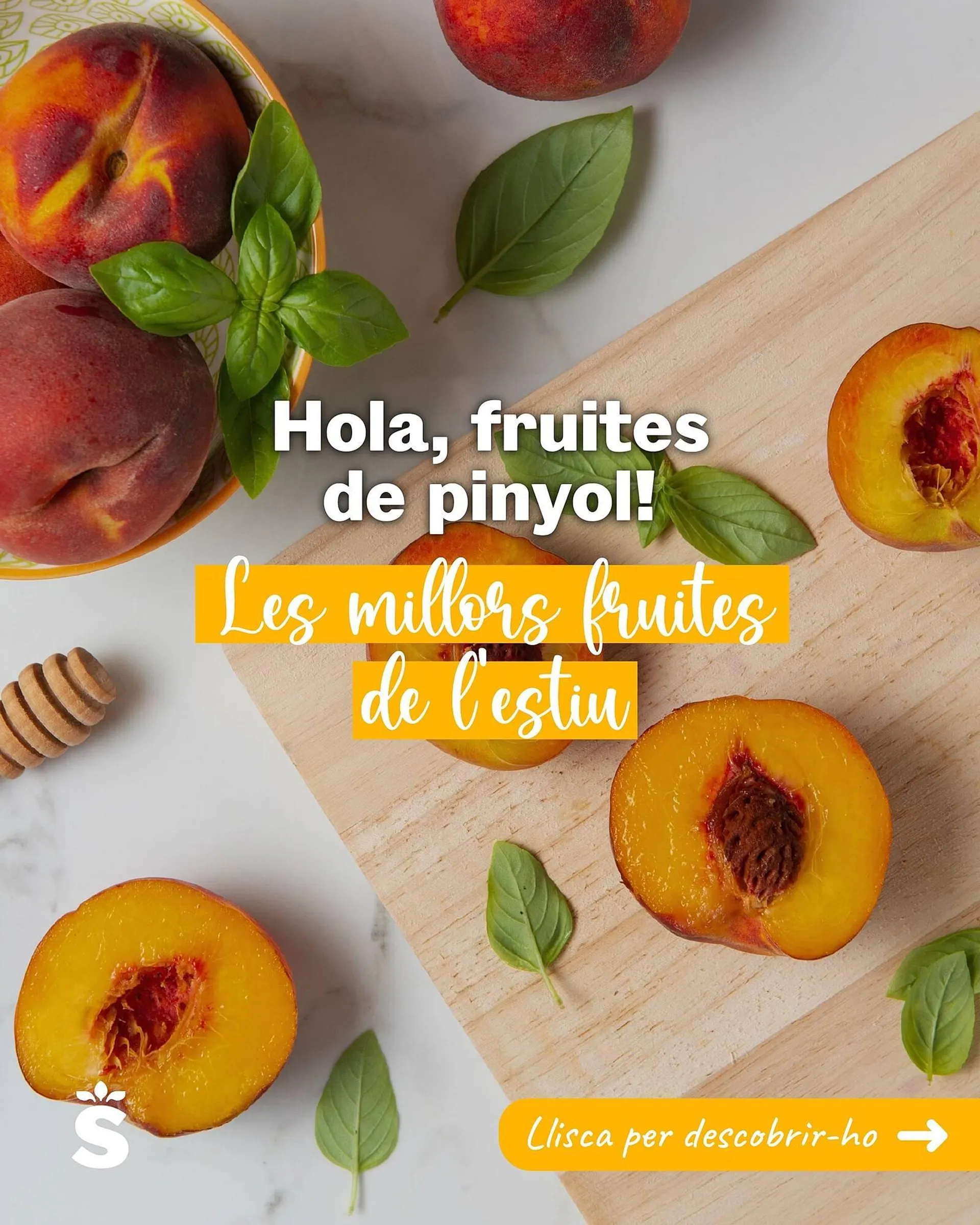 Folleto Sorli - 1