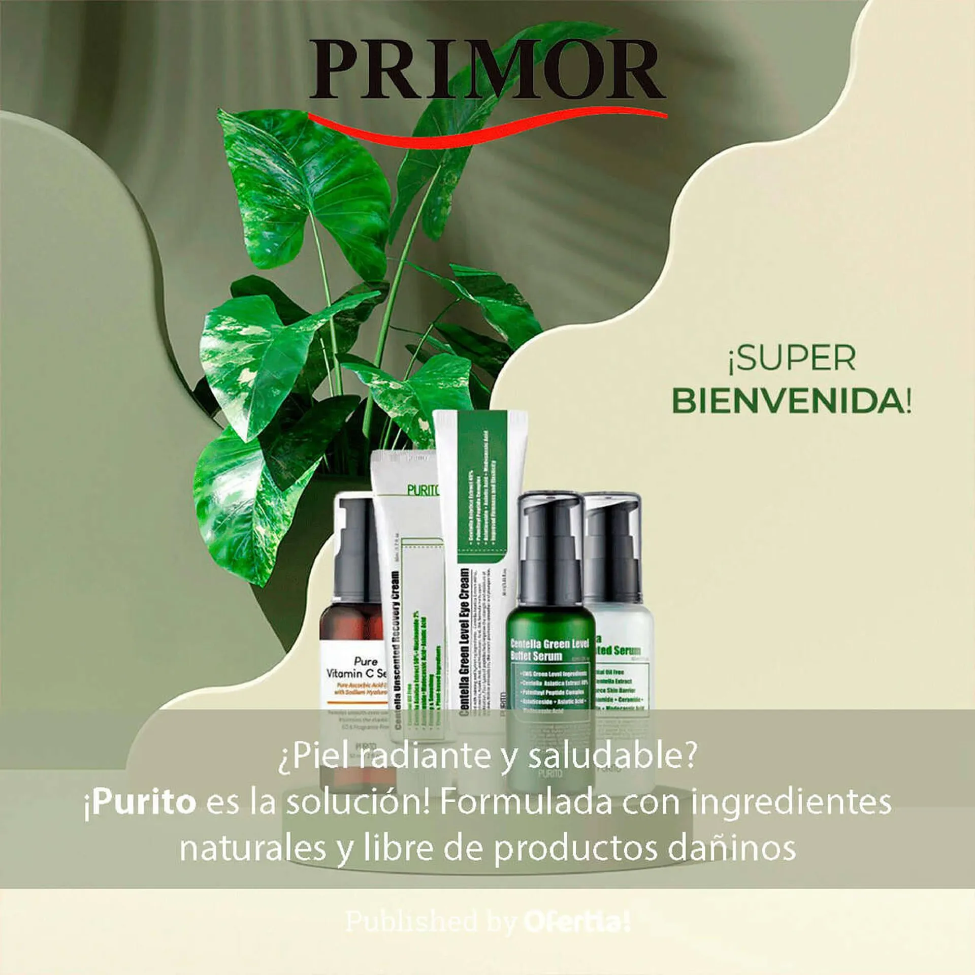 folleto-primor-disponible-hasta-el-27-de-diciembre-de-2023
