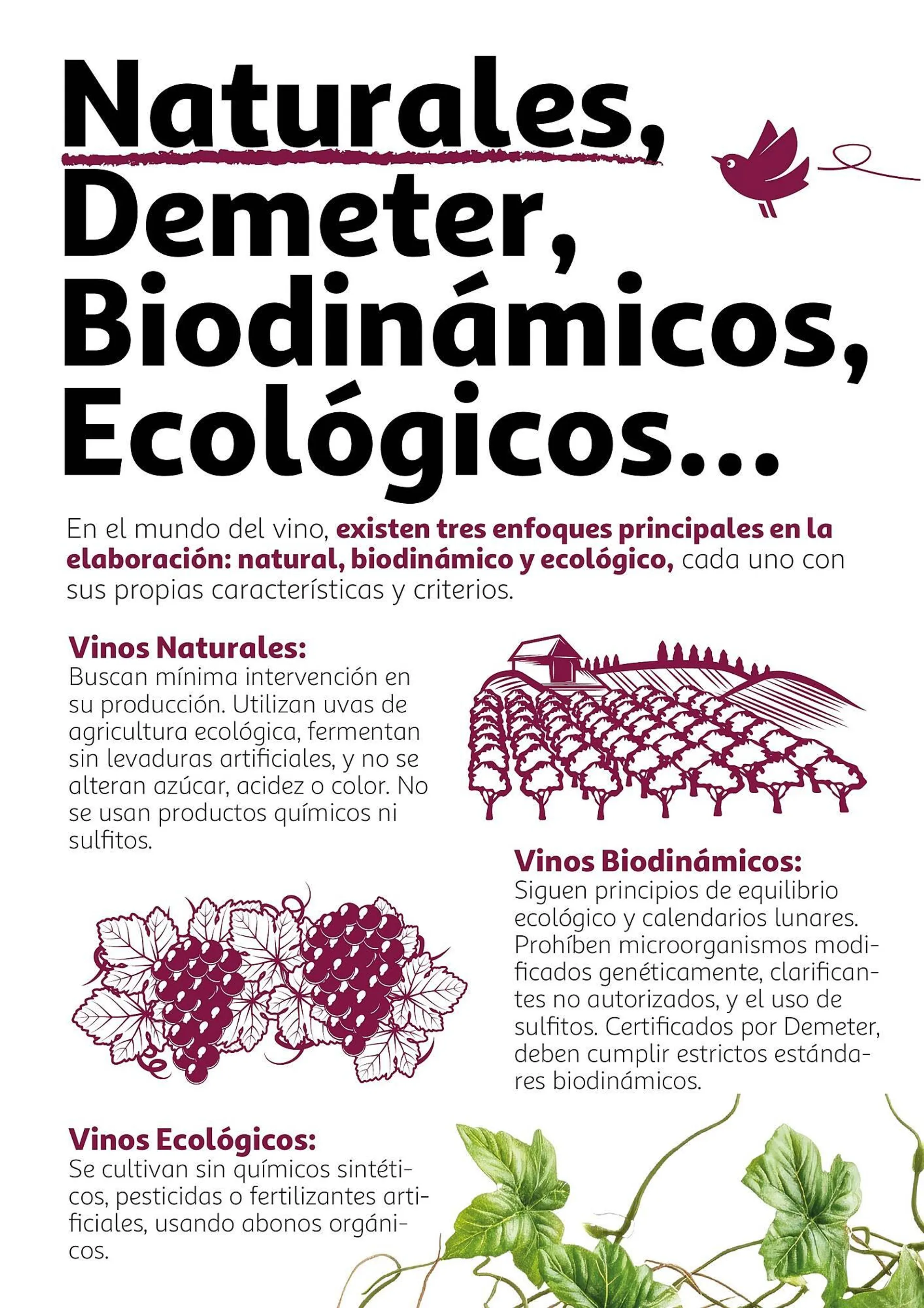 Catálogo de Folleto Alcampo 9 de octubre al 23 de octubre 2024 - Página 26