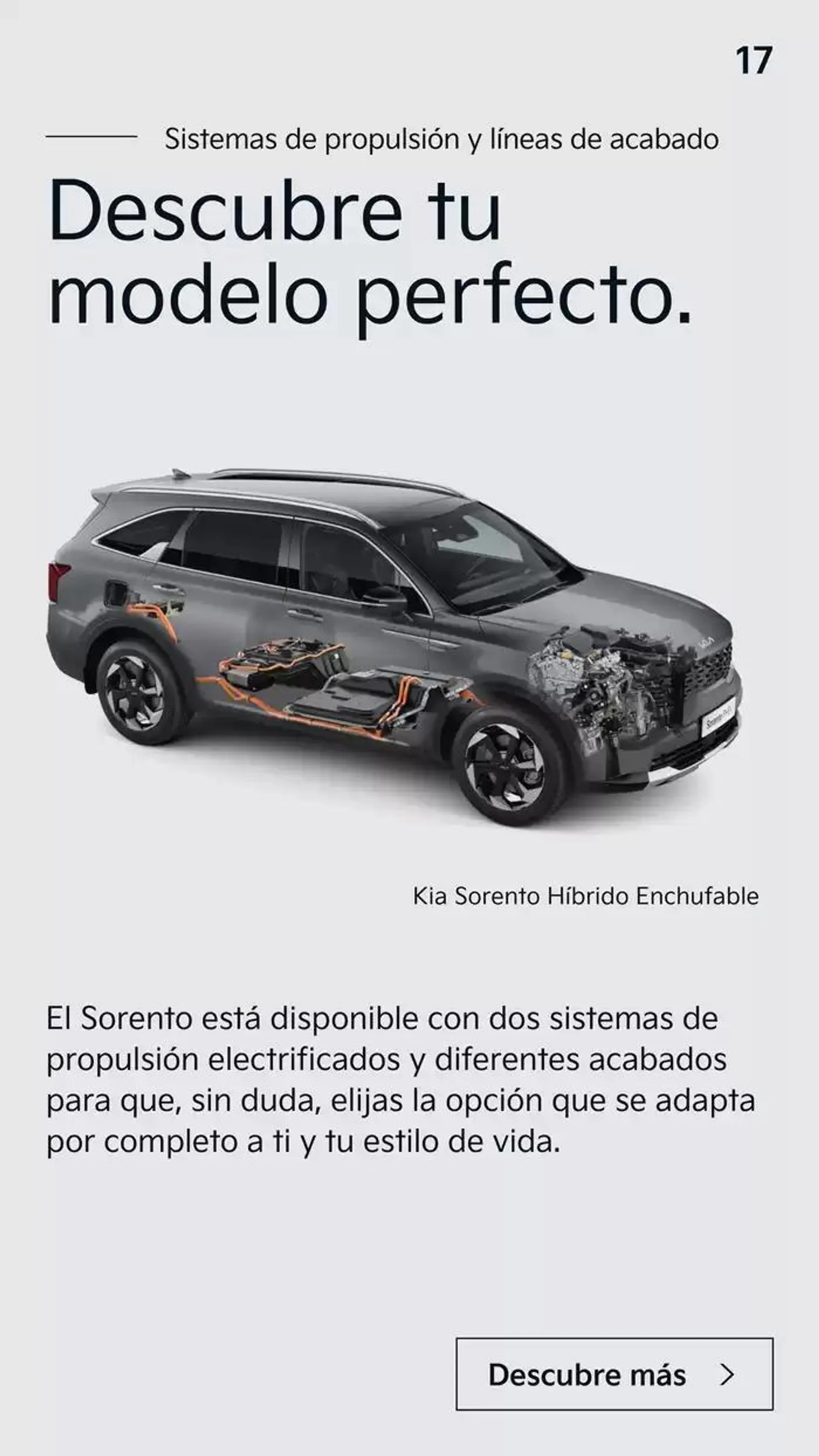Catálogo de Sorento 6 de mayo al 6 de mayo 2026 - Página 17