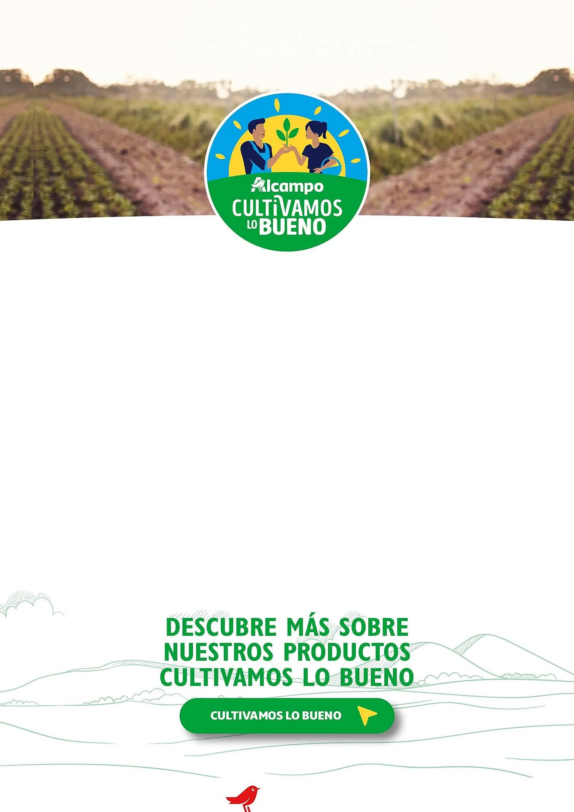 Catálogo de Folleto Alcampo 23 de abril al 31 de diciembre 2025 - Página 3