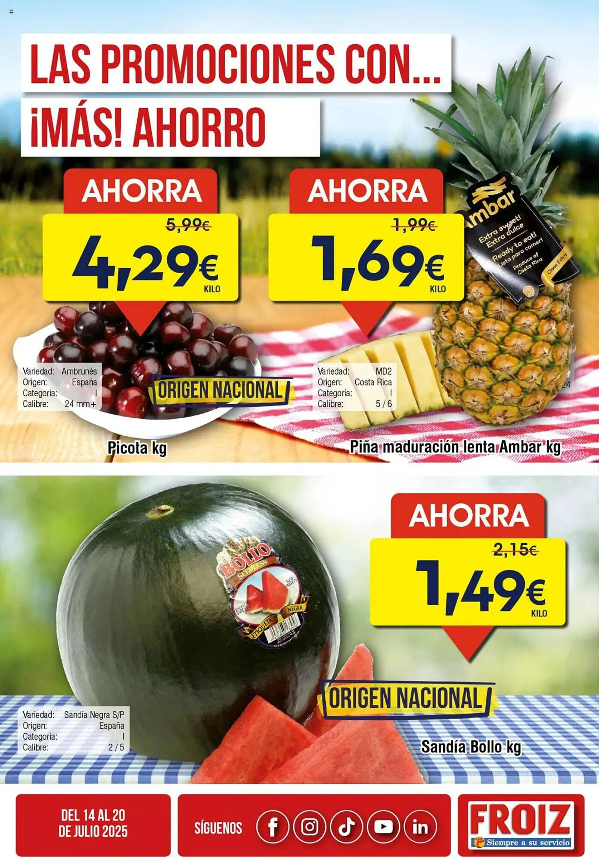 Catálogo de Folleto FROIZ 14 de julio al 20 de julio 2025 - Página 1