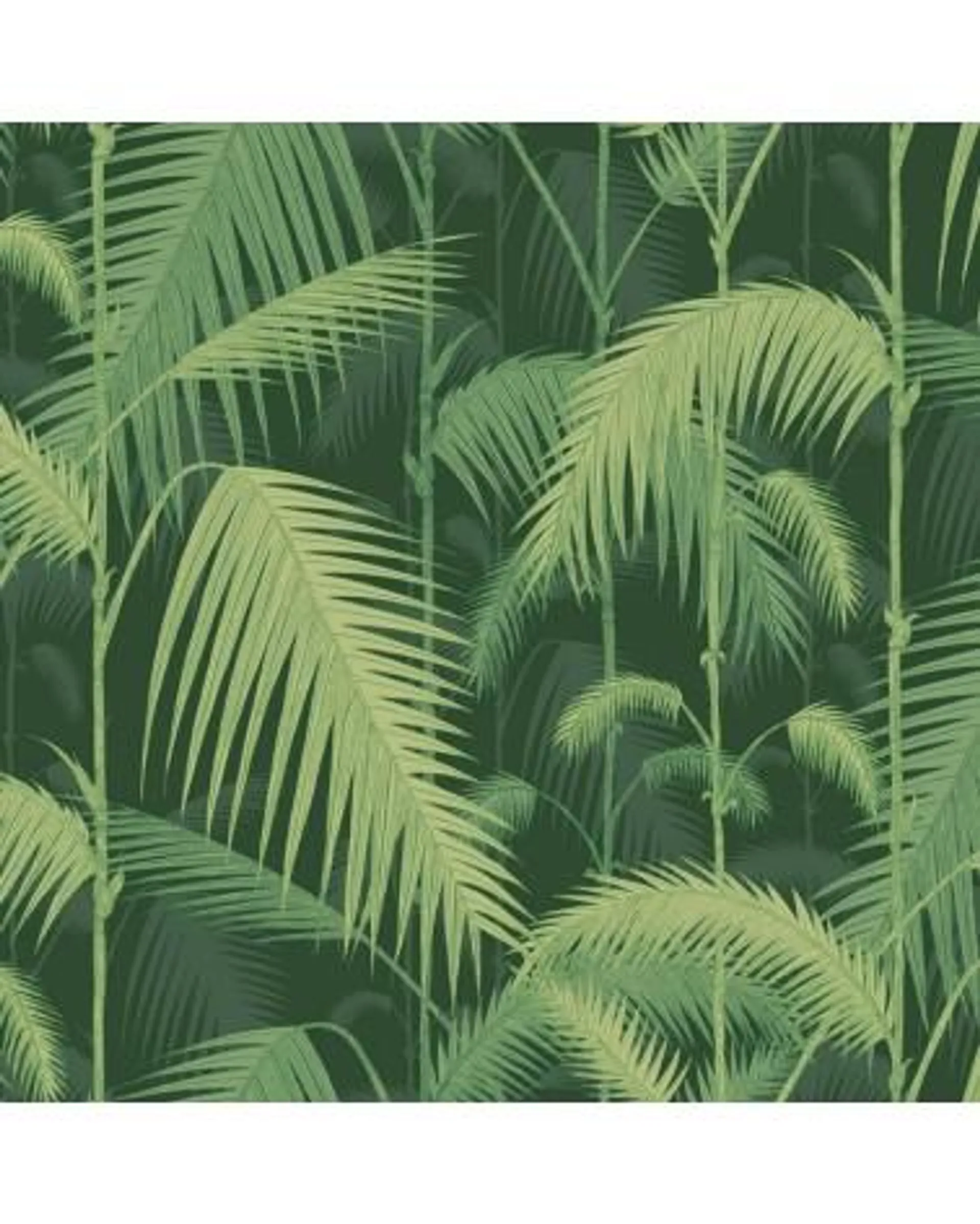 112-1003 PALM JUNGLE