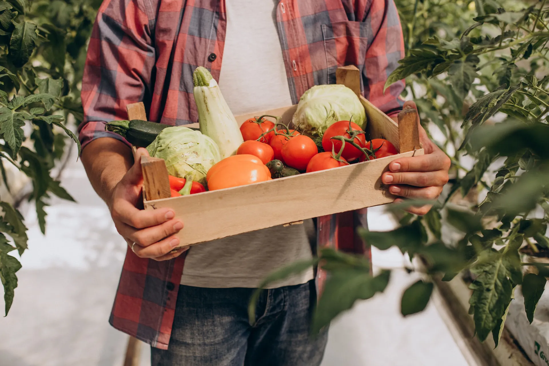 The most sustainable supermarkets in Australia