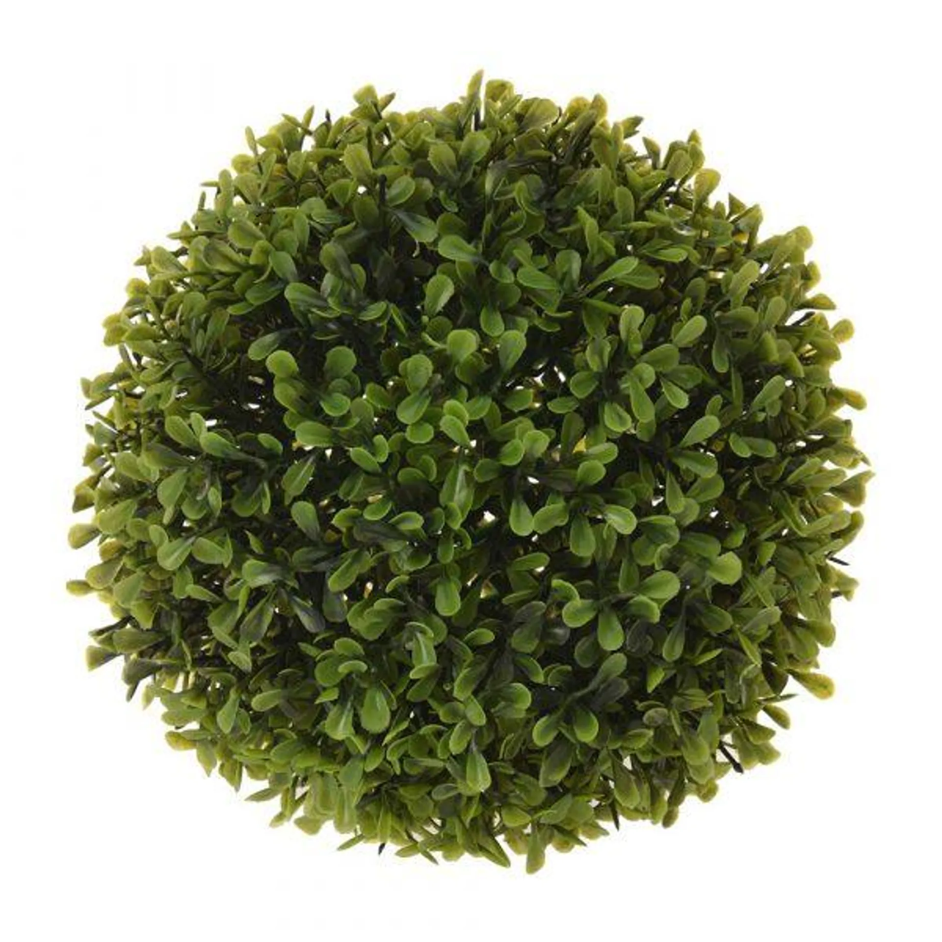 BUXUS VIHERPALLO