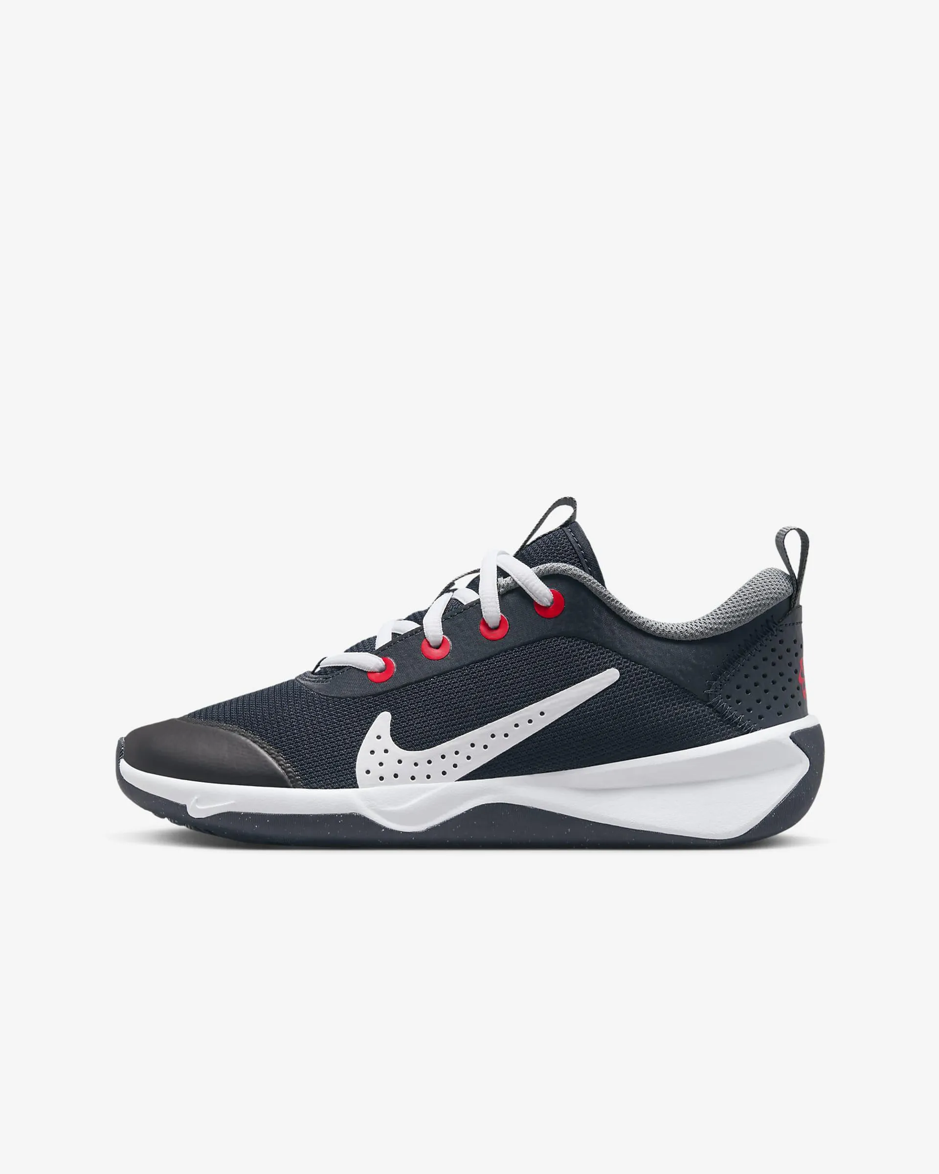 Nike Omni Multi-Court