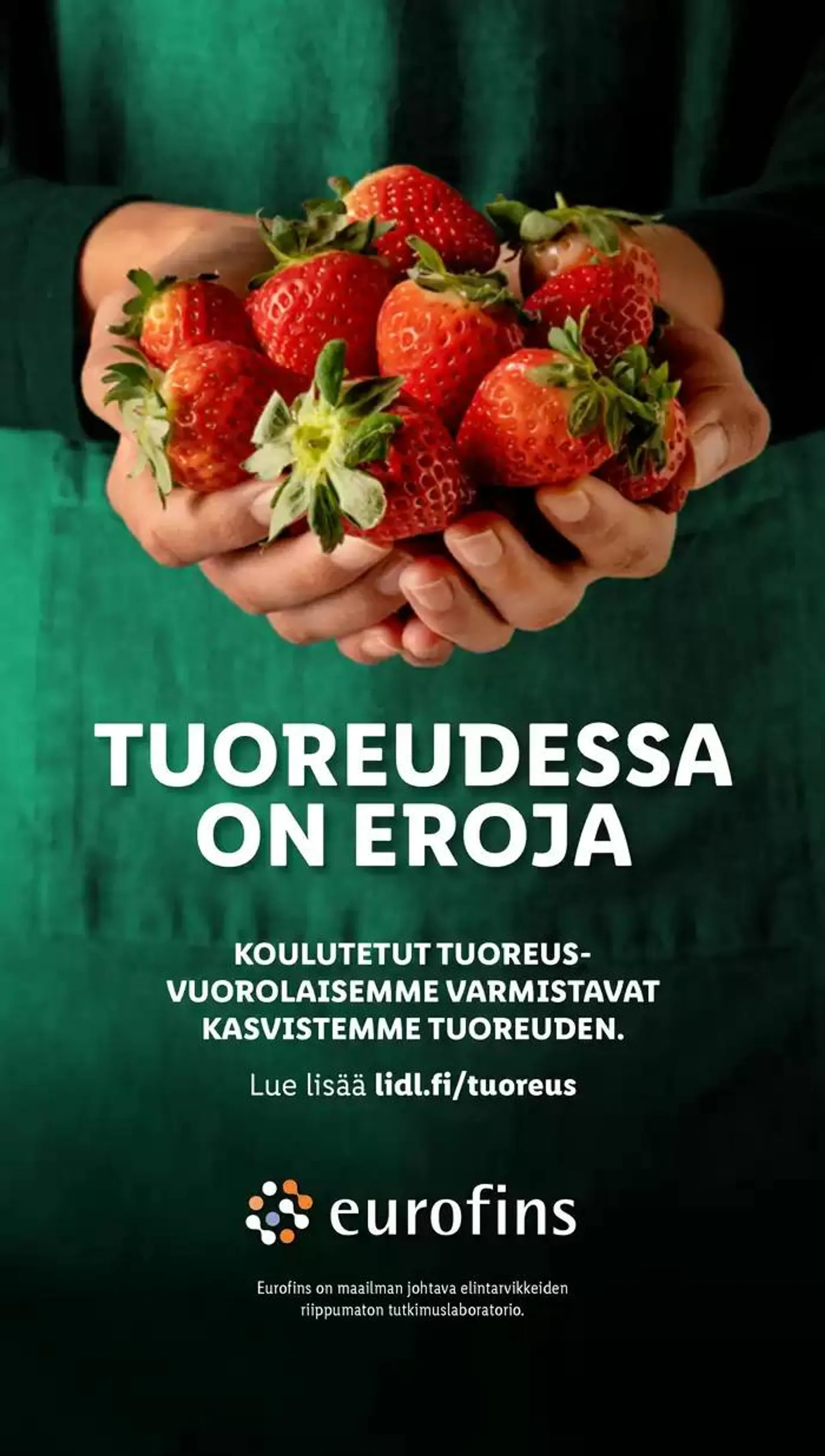 Eksklusiivisia löytöjä voimassa alkaen 4. marraskuuta - 13. marraskuuta 2024 - Tarjouslehti sivu 28