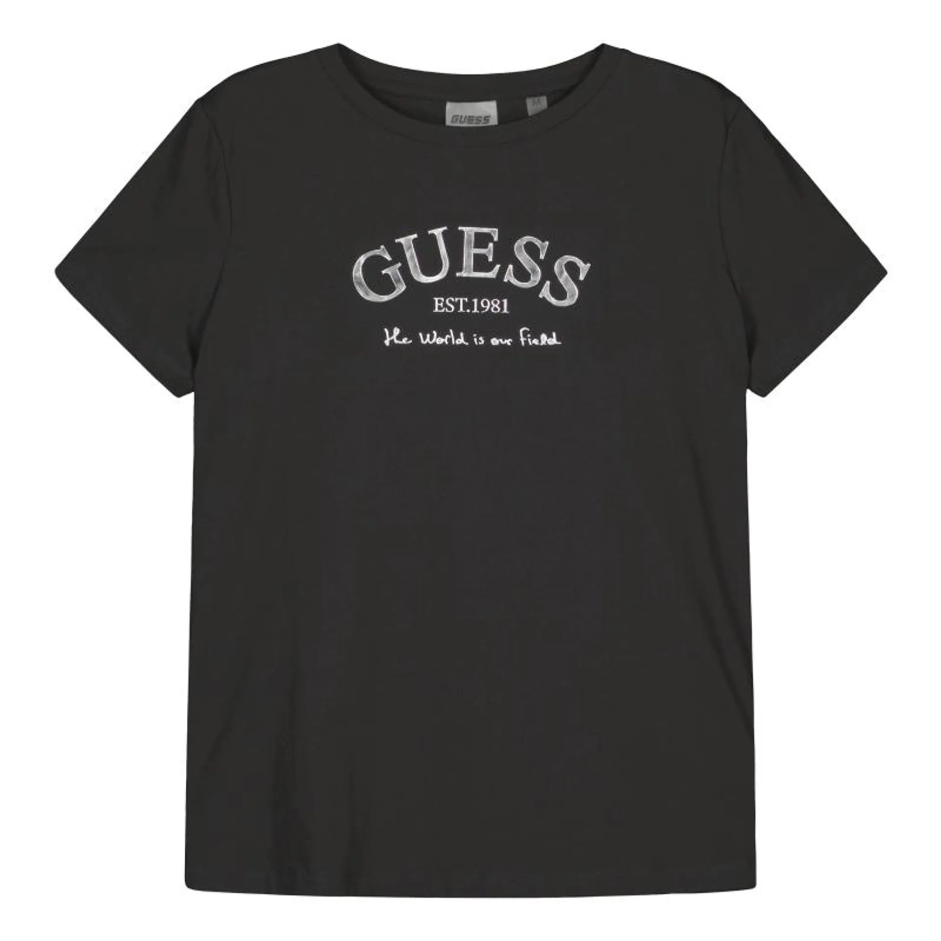 Naisten T-paita Guess Margot SS T-shirt V5RI16J1314