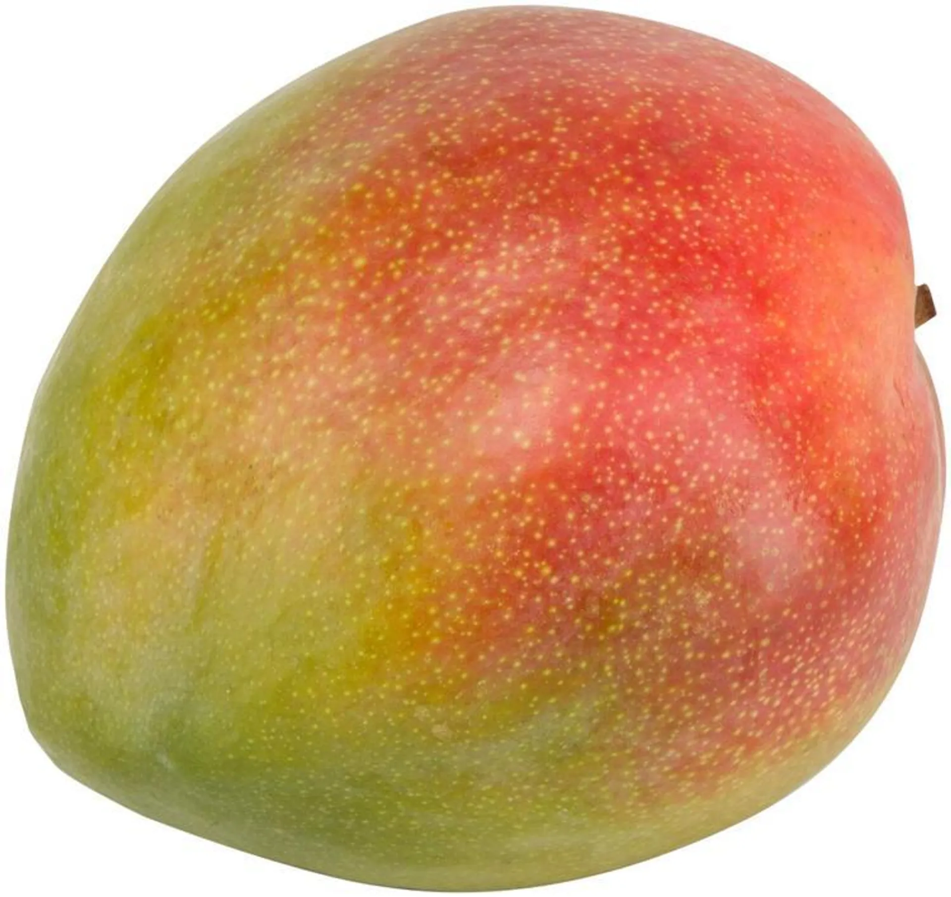 Mango Osteen